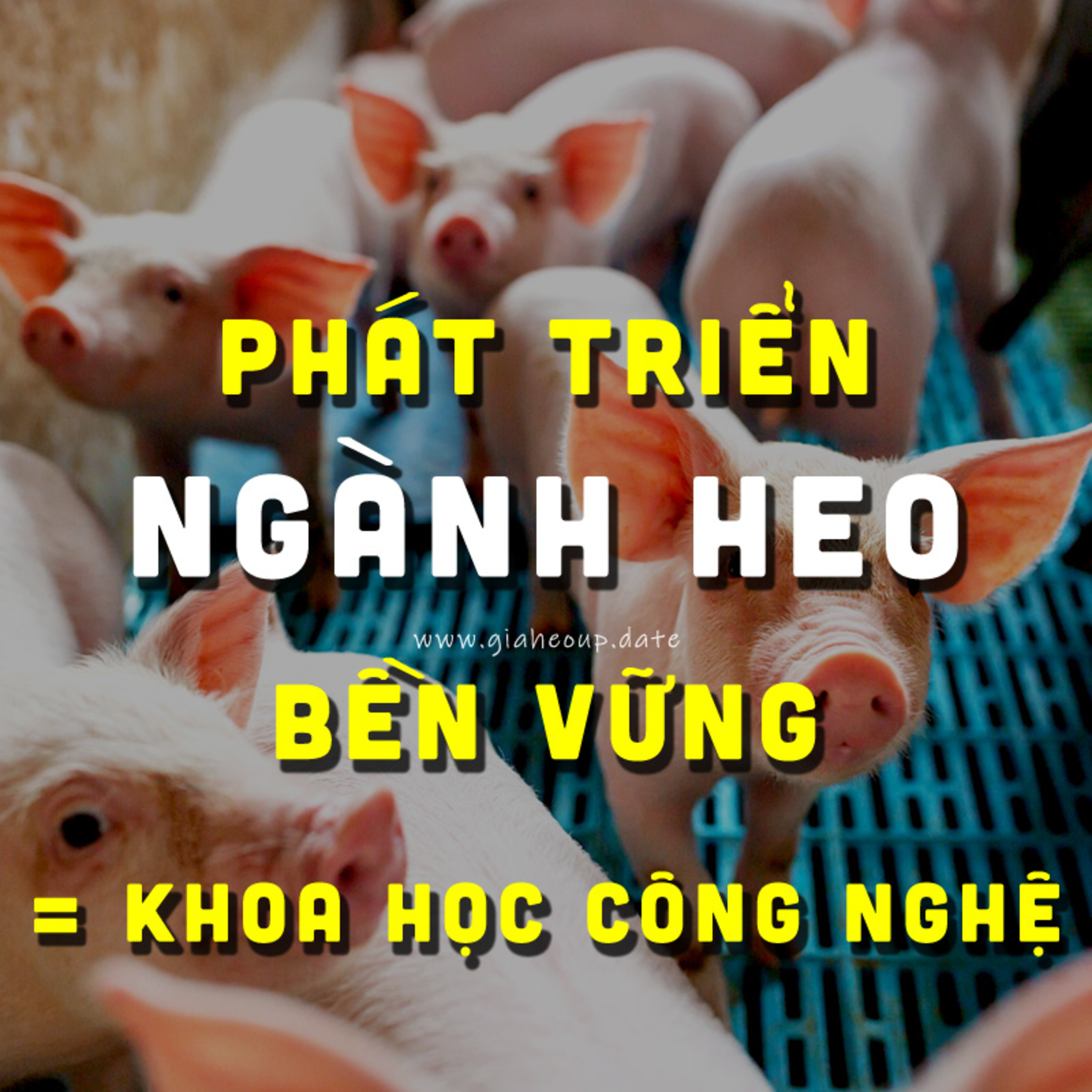 ▶ PHÁT TRIỂN NGÀNH HEO BỀN VỮNG BẰNG KHOA HỌC CÔNG NGHỆ 🐷 XÂY CHUNG CƯ CHO LỢN? #PODCAST #GIAHEOHOI episode artwork