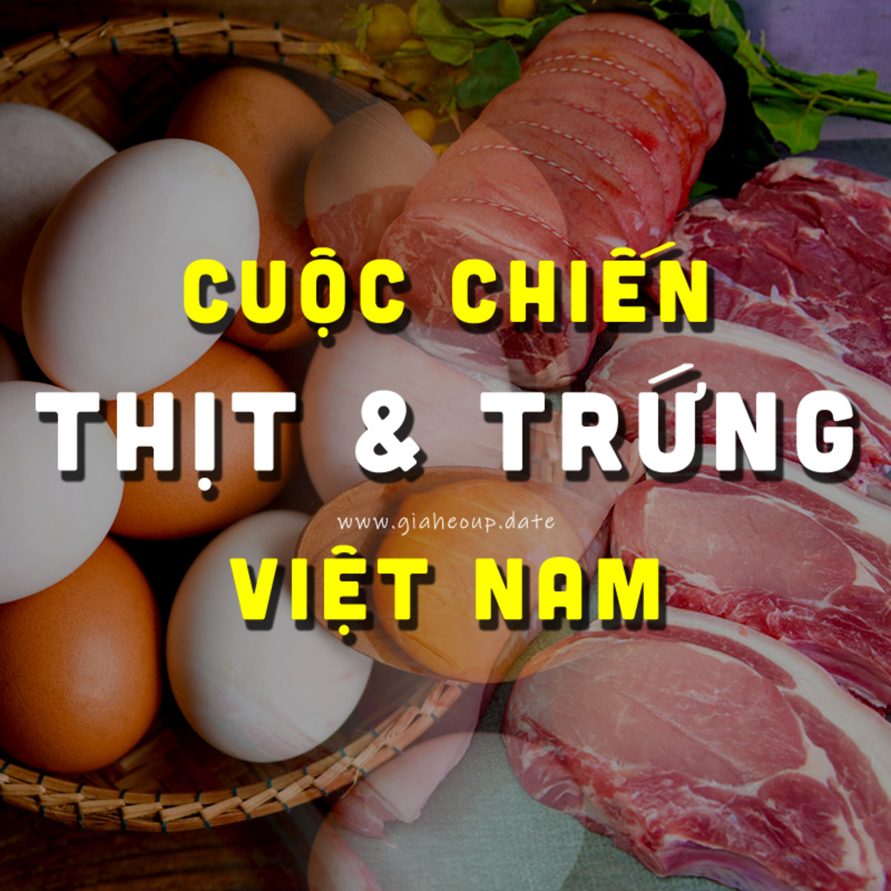 ▶ CUỘC CHIẾN NGÀNH THỰC PHẨM: C.P, GREENFEED & JAPFA 🐷 AI LÀ HOA HẬU THỊT TRỨNG #PODCAST #GIAHEOHOI episode artwork