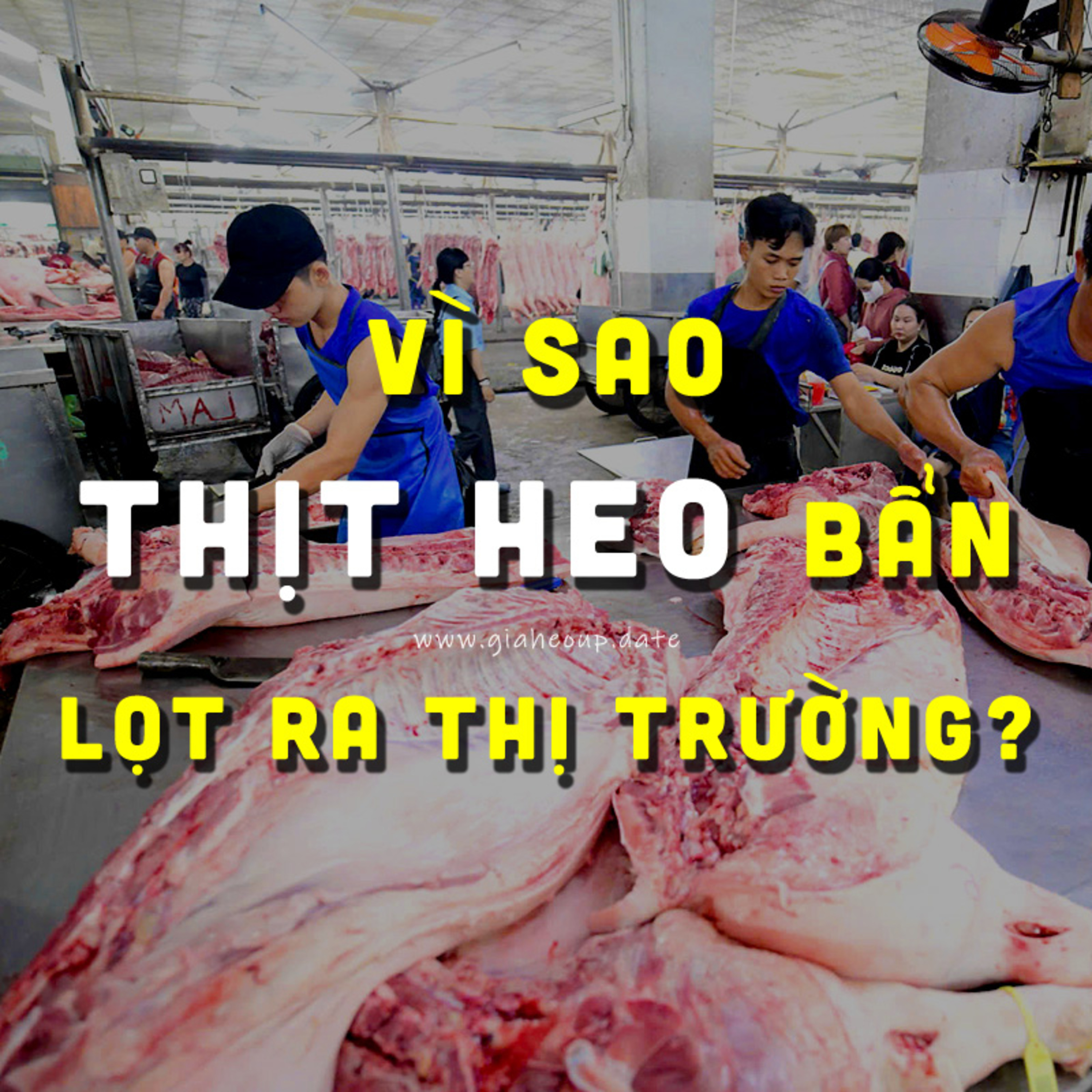 ▶ VÌ SAO THỊT HEO BẨN VẪN LỌT RA THỊ TRƯỜNG? #PODCAST #GIAHEOHOI #GIATHITHEO #THITRUONGHEO episode artwork
