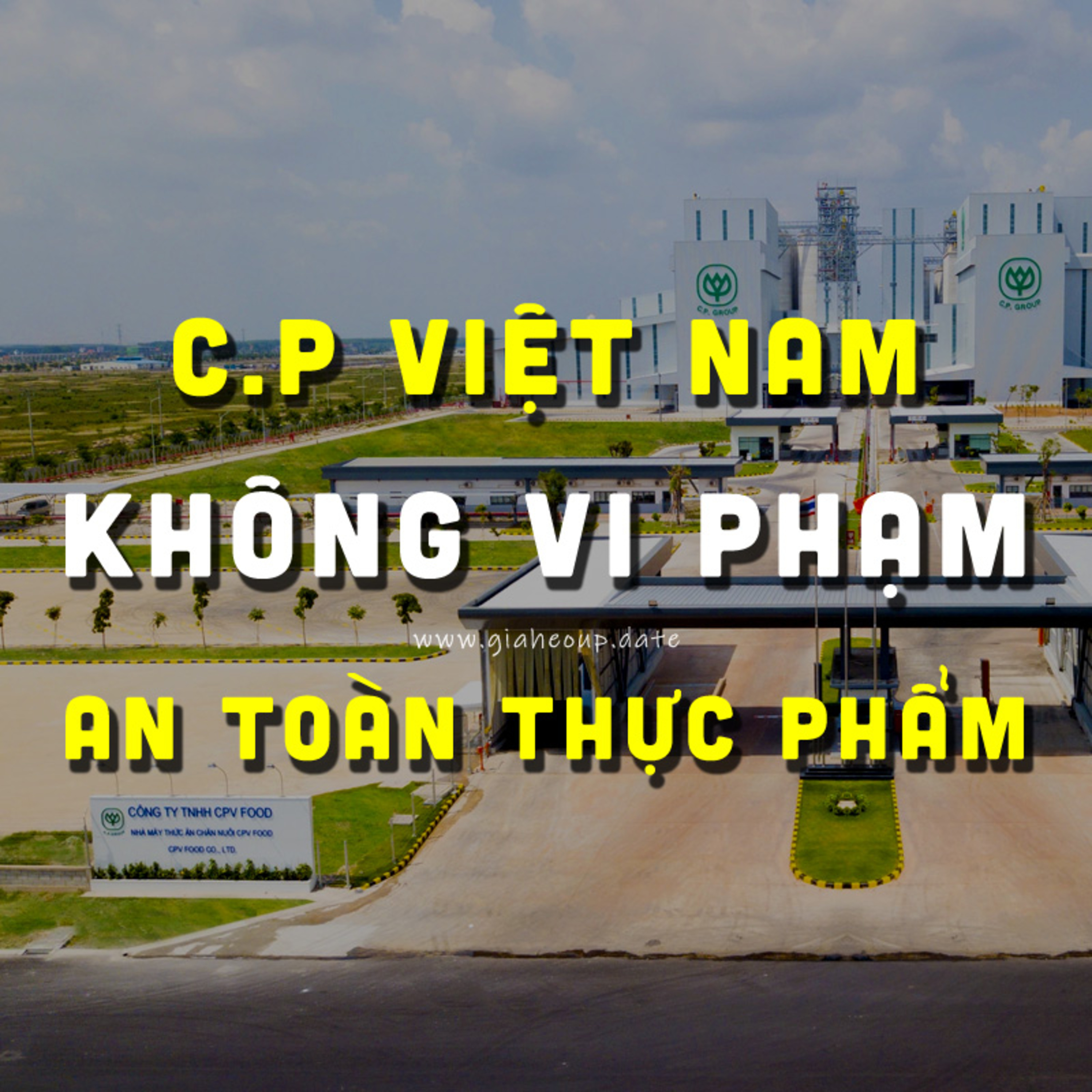 ▶ C.P VIỆT NAM: KHÔNG VI PHẠM AN TOÀN THỰC PHẨM #PODCAST #GIAHEOHOI #GIATHITHEO #THITRUONGHEO episode artwork