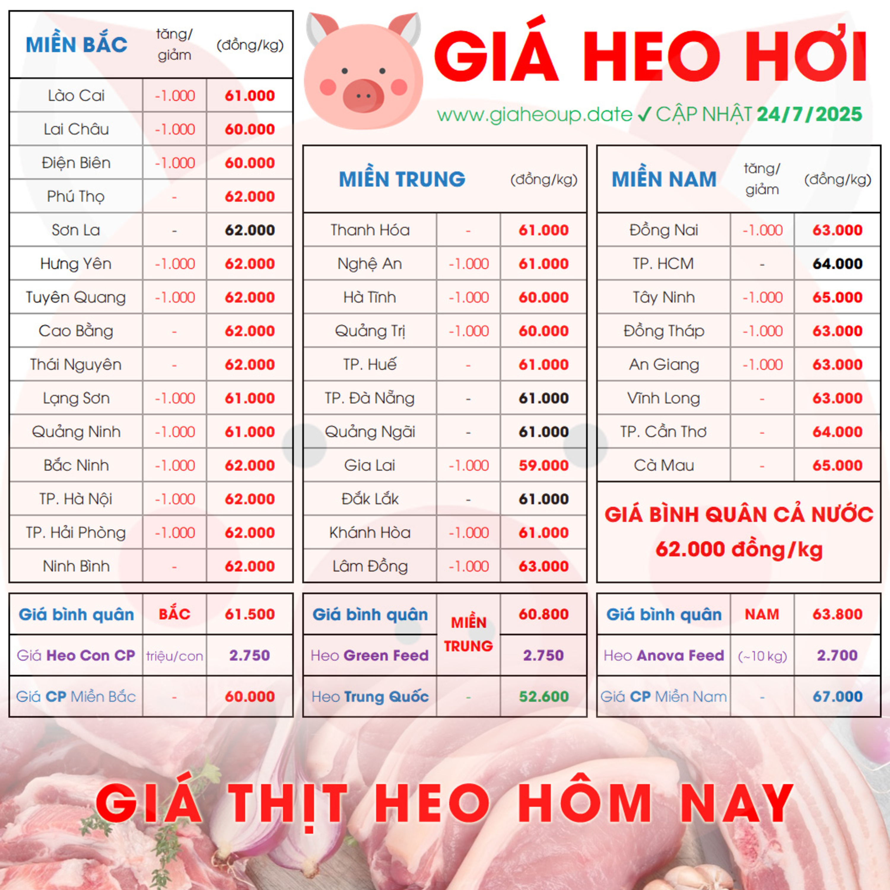GIÁ LỢN HƠI 24/7/2025 ✅ GIÁ THỊT HEO HÔM NAY & TIN TỨC CHĂN NUÔI #GIAHEOHOI #ASF #DICHTAHEOCHAUPHI episode artwork
