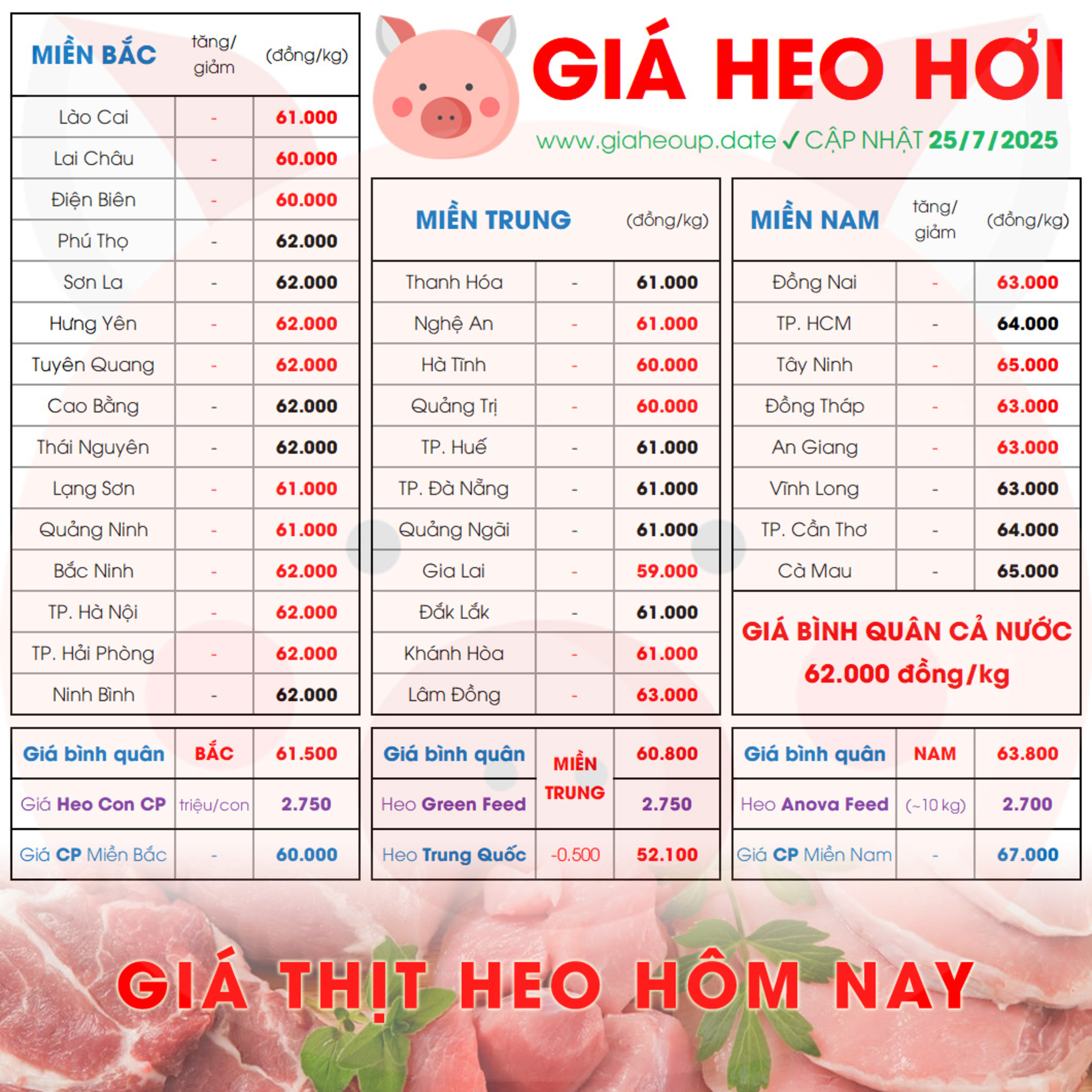 GIÁ HEO HƠI 25/7/2025 ✅ GIÁ THỊT LỢN HÔM NAY & TIN TỨC CHĂN NUÔI #GIAHEOHOI #ASF #DICHTAHEOCHAUPHI episode artwork