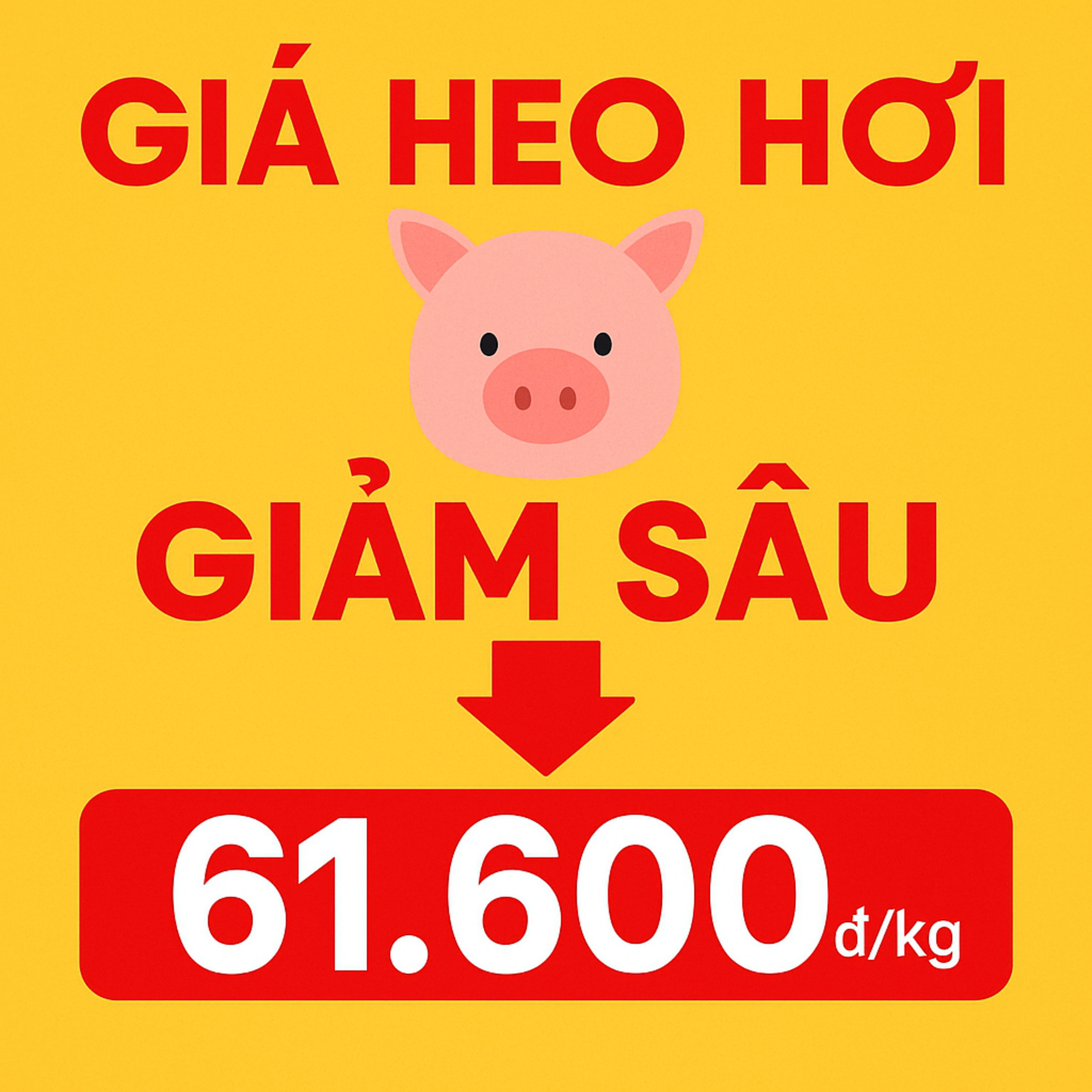 ▶ GIÁ HEO GIẢM SỐC: NGUYÊN NHÂN & TÁC ĐỘNG #PODCAST #GIAHEOHOI #GIATHITHEO #CHANNUOIHEO episode artwork