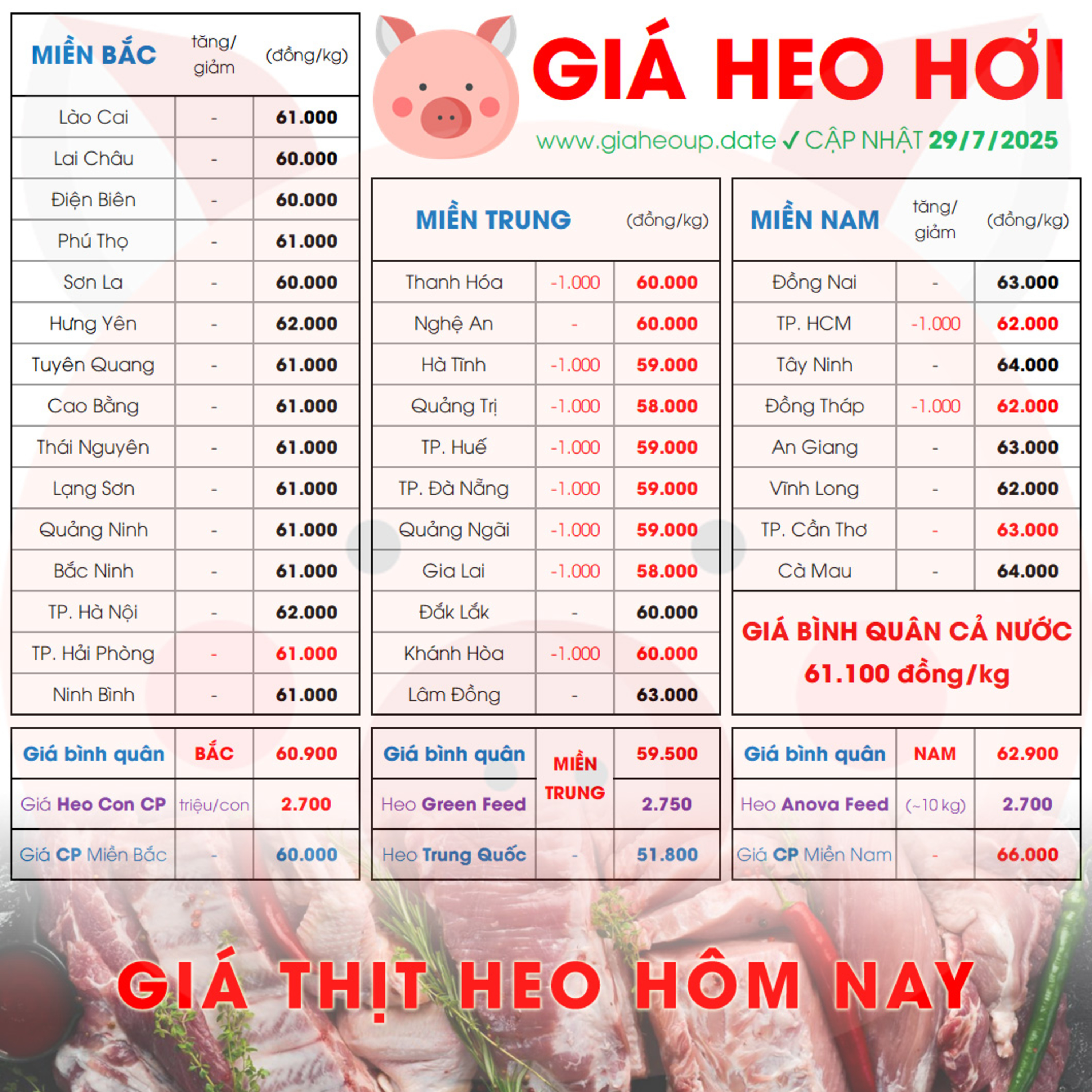GIÁ LỢN HƠI 29/7/2025 ✅ GIÁ THỊT HEO HÔM NAY & TIN TỨC CHĂN NUÔI #GIAHEOHOI #ASF #DICHTAHEOCHAUPHI episode artwork