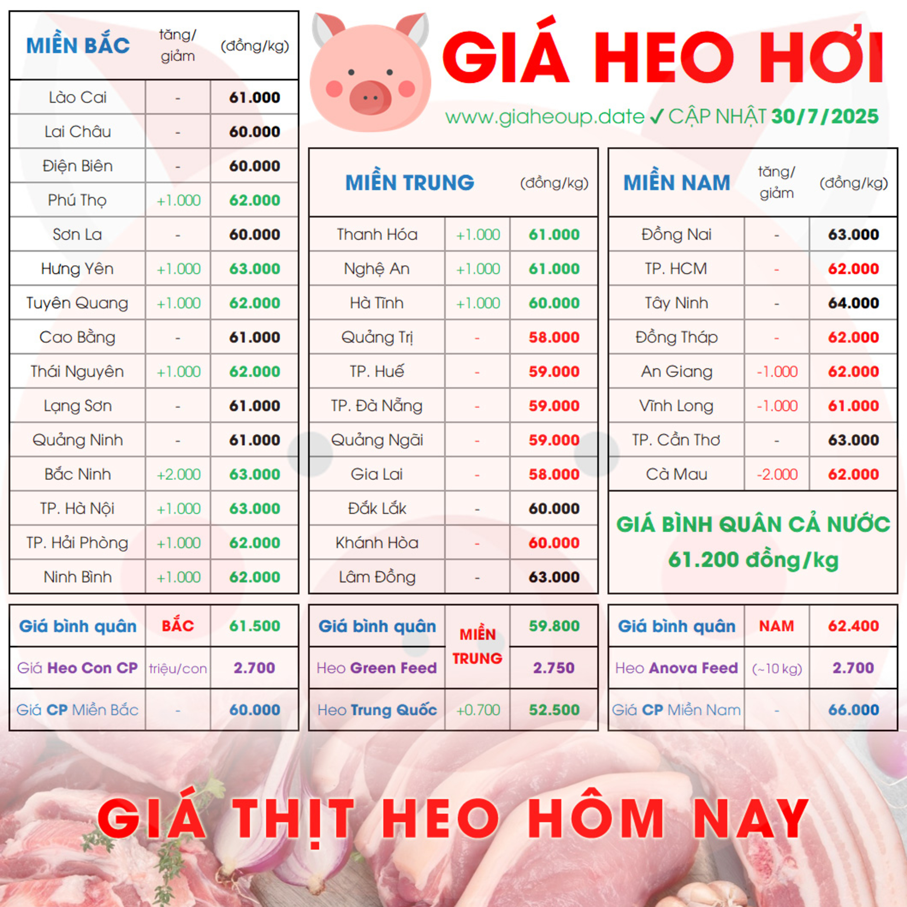 GIÁ HEO HƠI 30/7/2025 ✅ GIÁ THỊT LỢN HÔM NAY & TIN TỨC CHĂN NUÔI #GIAHEOHOI #ASF #DICHTAHEOCHAUPHI episode artwork