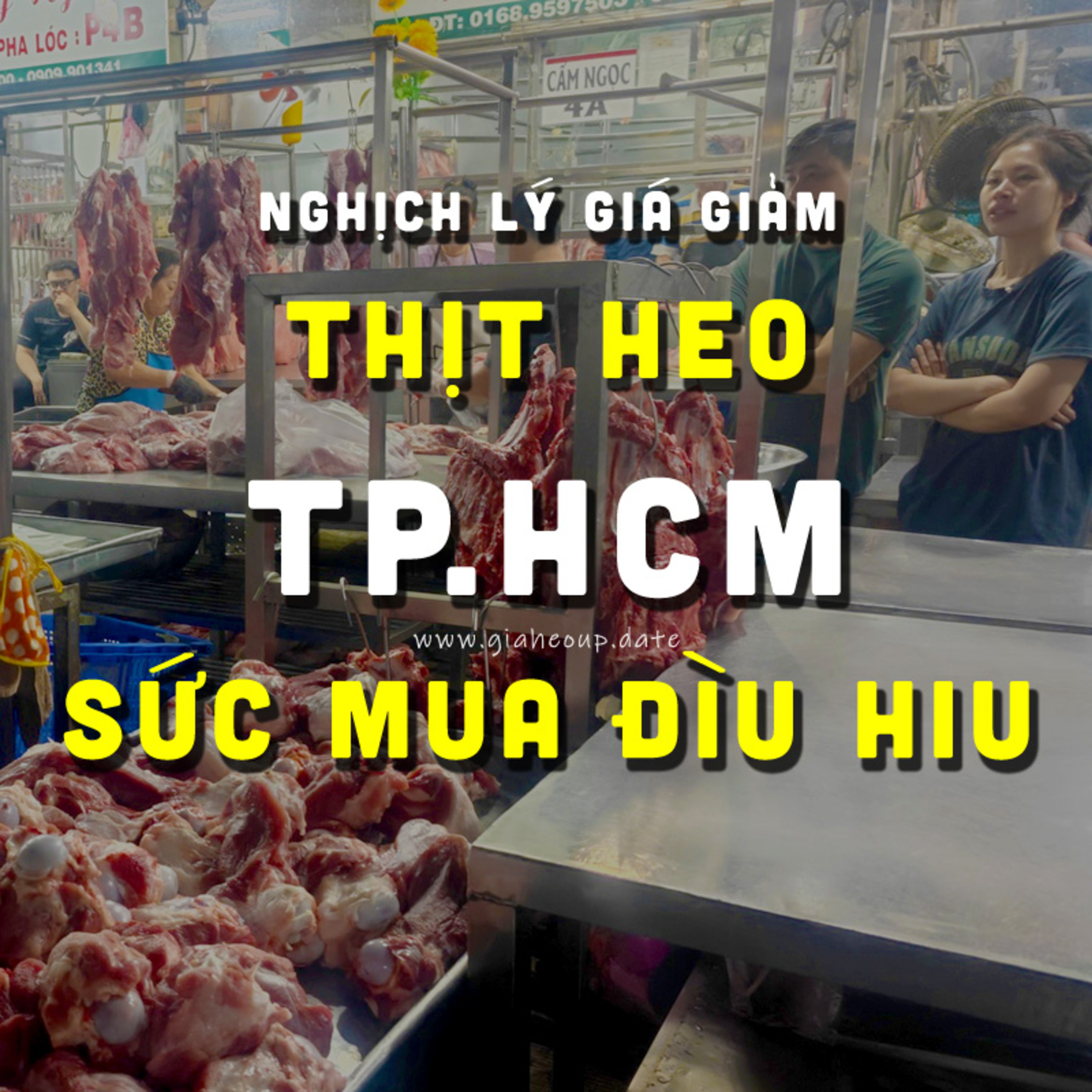 ▶ NGHỊCH LÝ THỊT HEO TP.HCM: GIÁ GIẢM MẠNH NHƯNG SỨC MUA ĐÌU HIU... #PODCAST #GIAHEOHOI #GIATHITHEO episode artwork
