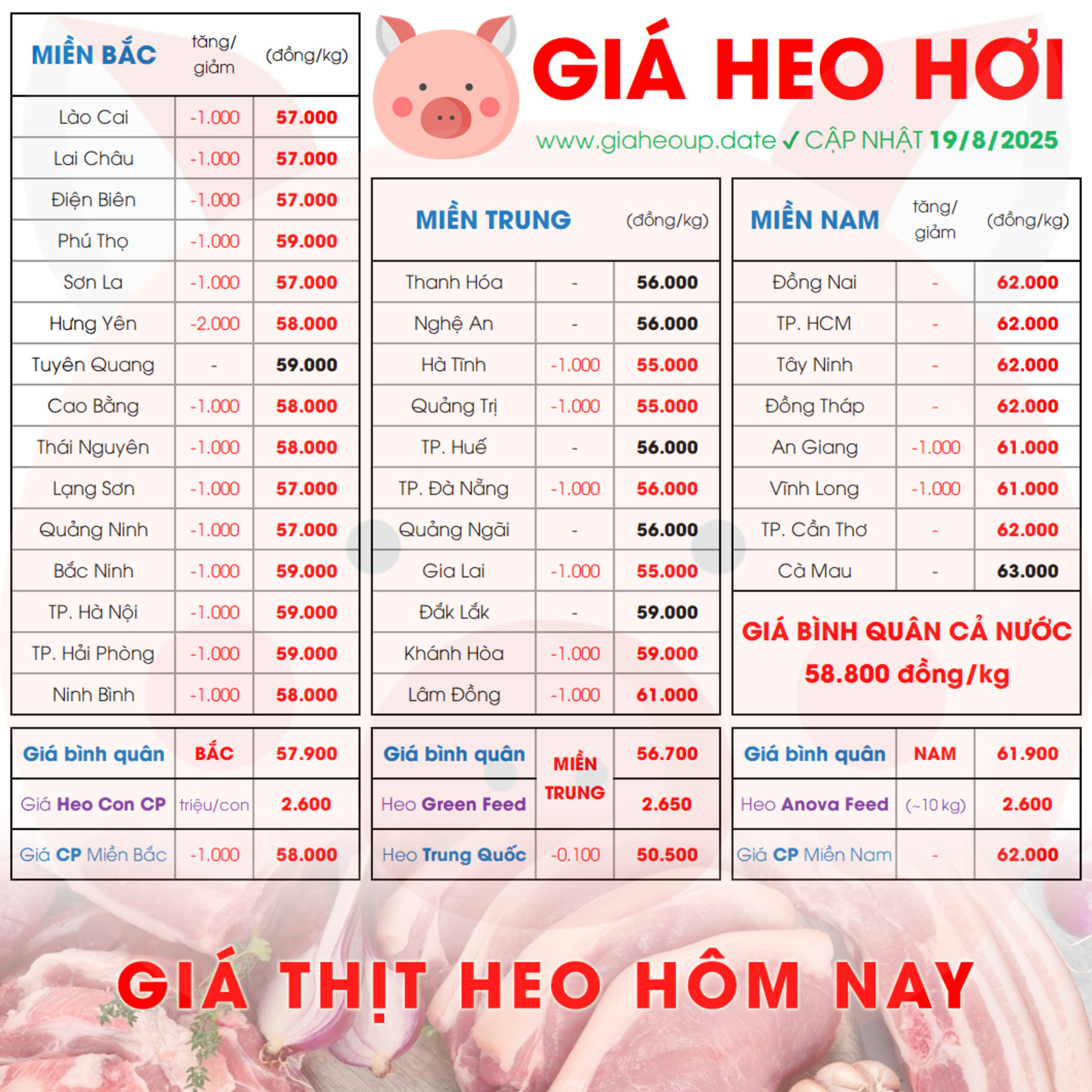 GIÁ LỢN HƠI 19/8/2025 ✅ GIÁ THỊT HEO HÔM NAY & TIN TỨC CHĂN NUÔI #GIAHEOHOI #ASF #DICHTAHEOCHAUPHI episode artwork