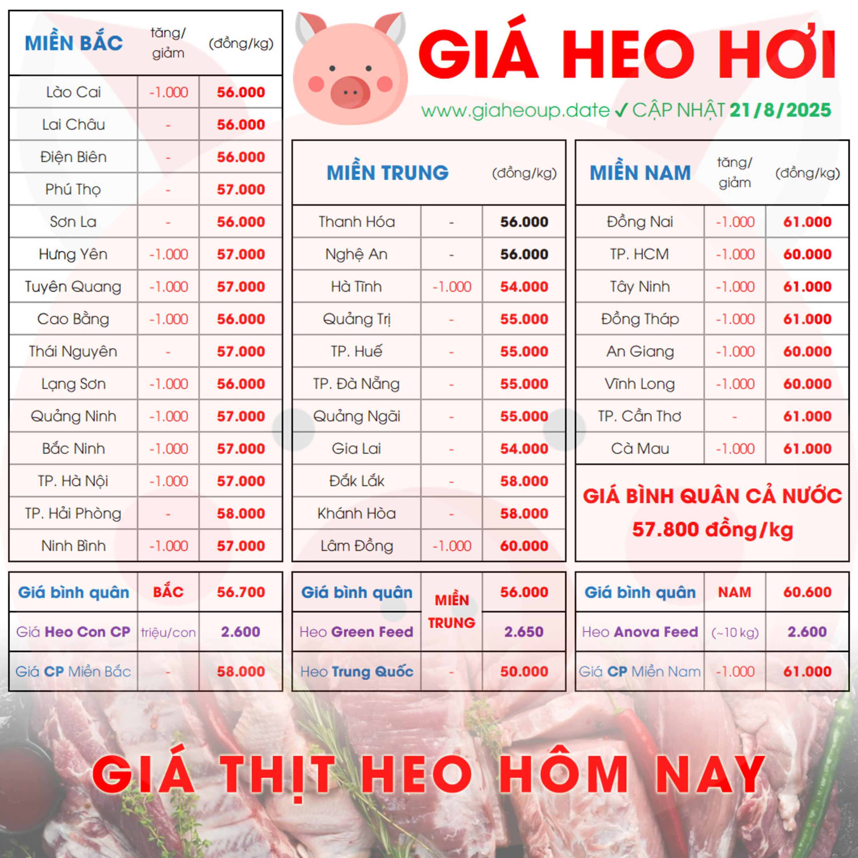 GIÁ LỢN HƠI 21/8/2025 ✅ GIÁ THỊT HEO HÔM NAY & TIN TỨC CHĂN NUÔI #GIAHEOHOI #ASF #DICHTAHEOCHAUPHI episode artwork