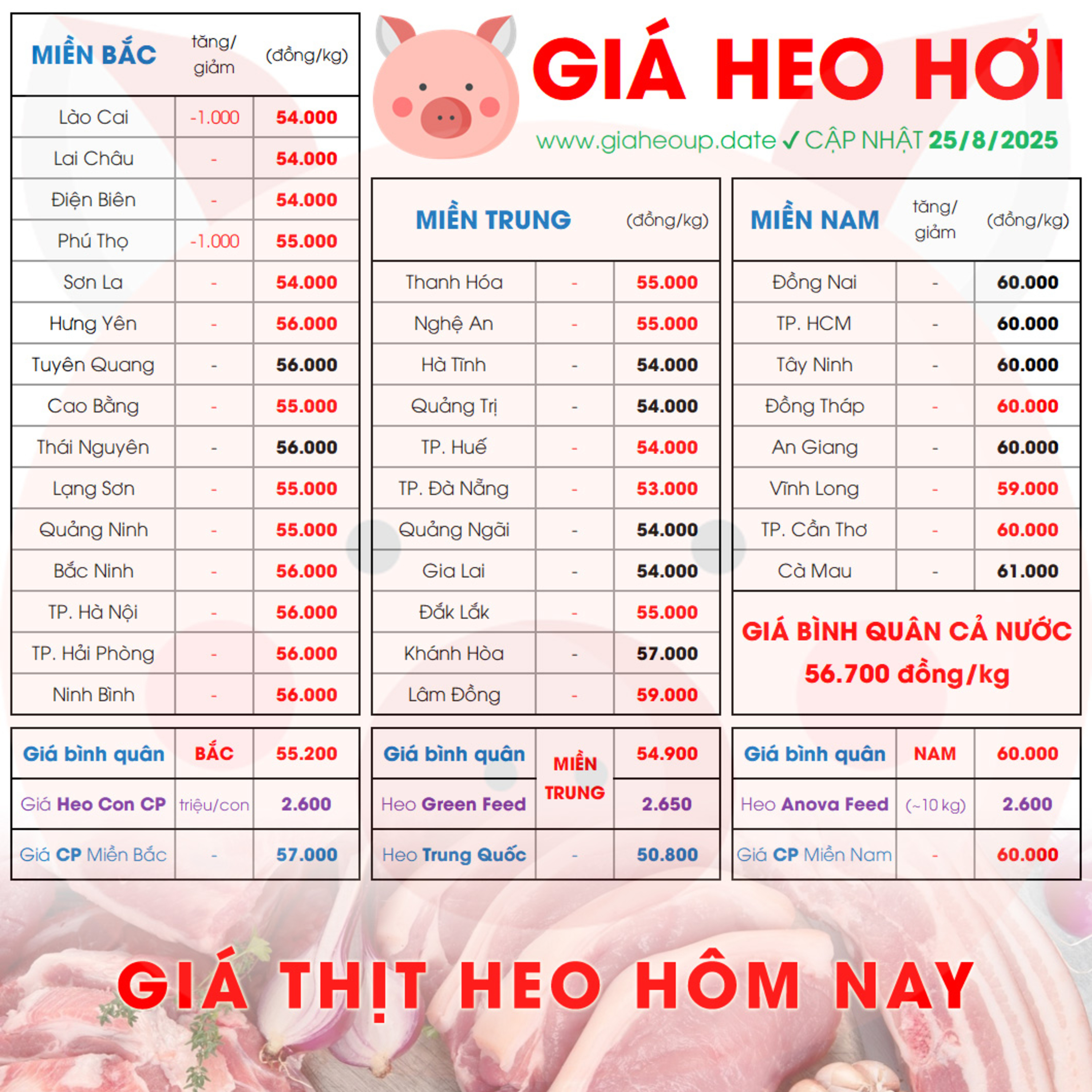 GIÁ HEO HƠI 25/8/2025 ✅ GIÁ THỊT LỢN HÔM NAY & TIN TỨC CHĂN NUÔI #GIAHEOHOI #ASF #DICHTAHEOCHAUPHI episode artwork