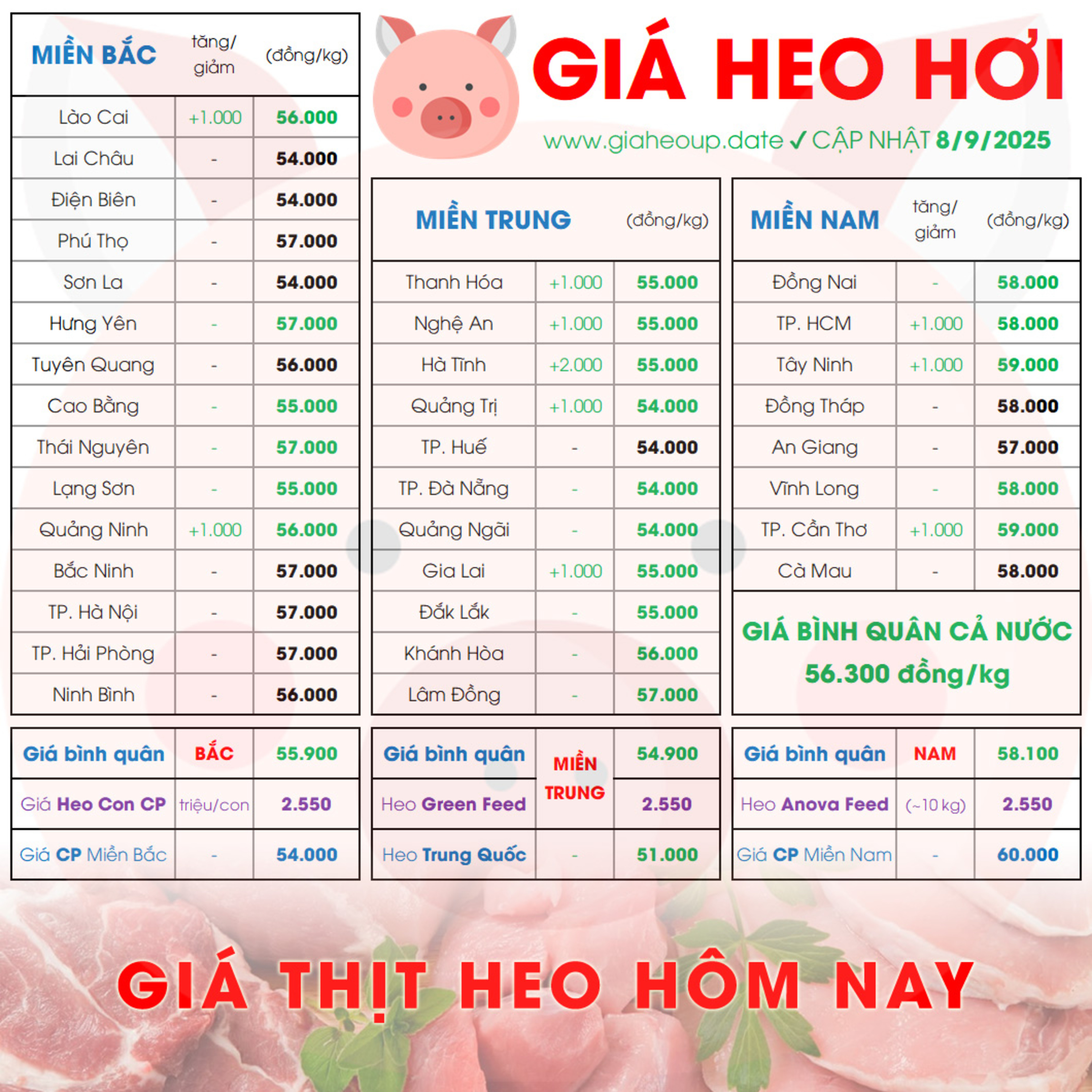 GIÁ LỢN HƠI 8/9/2025 ✅ GIÁ THỊT HEO HÔM NAY & TIN TỨC CHĂN NUÔI #GIAHEOHOI #ASF #DICHTAHEOCHAUPHI episode artwork
