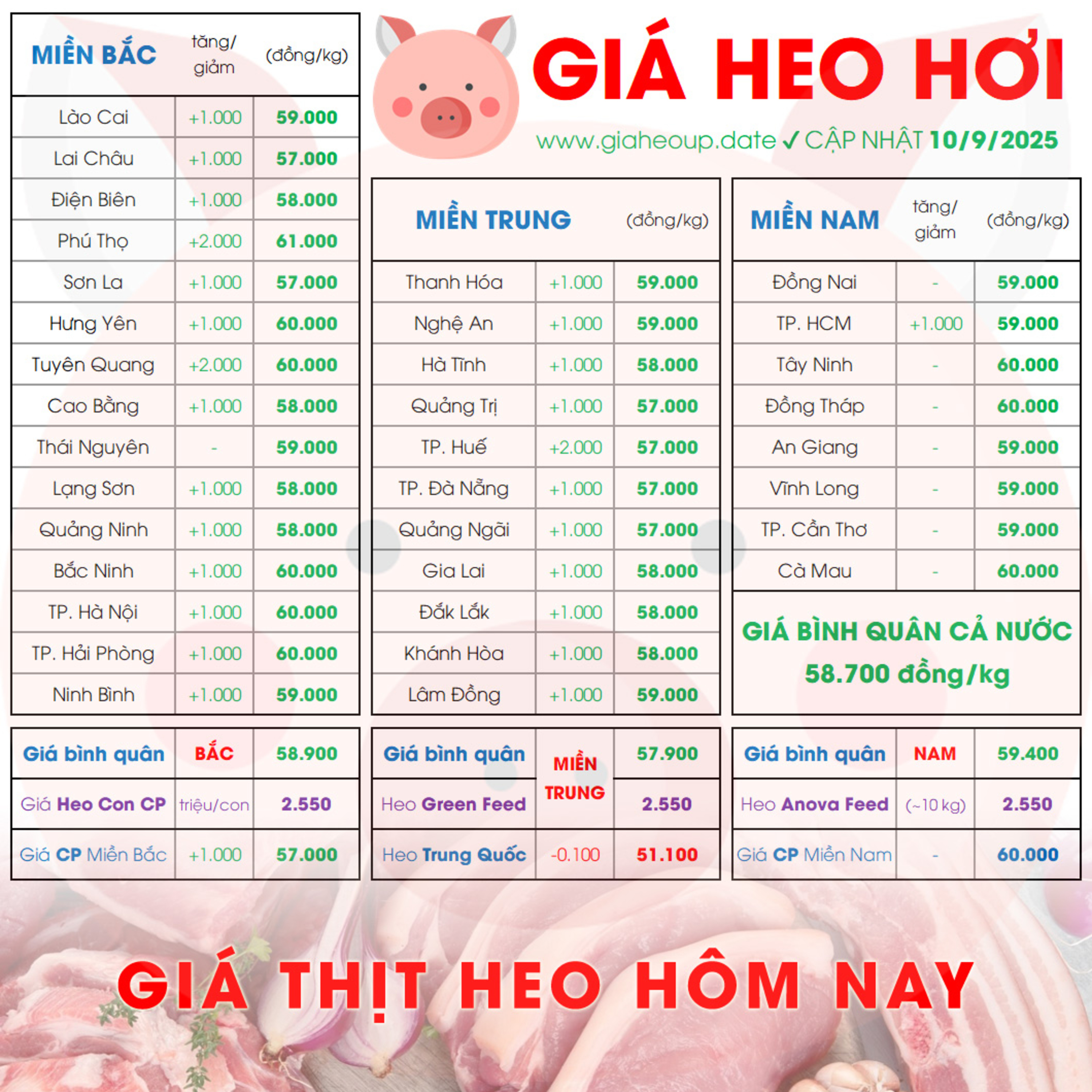 GIÁ LỢN HƠI 10/9/2025 ✅ GIÁ THỊT HEO HÔM NAY & TIN TỨC CHĂN NUÔI #GIAHEOHOI #ASF #DICHTAHEOCHAUPHI episode artwork