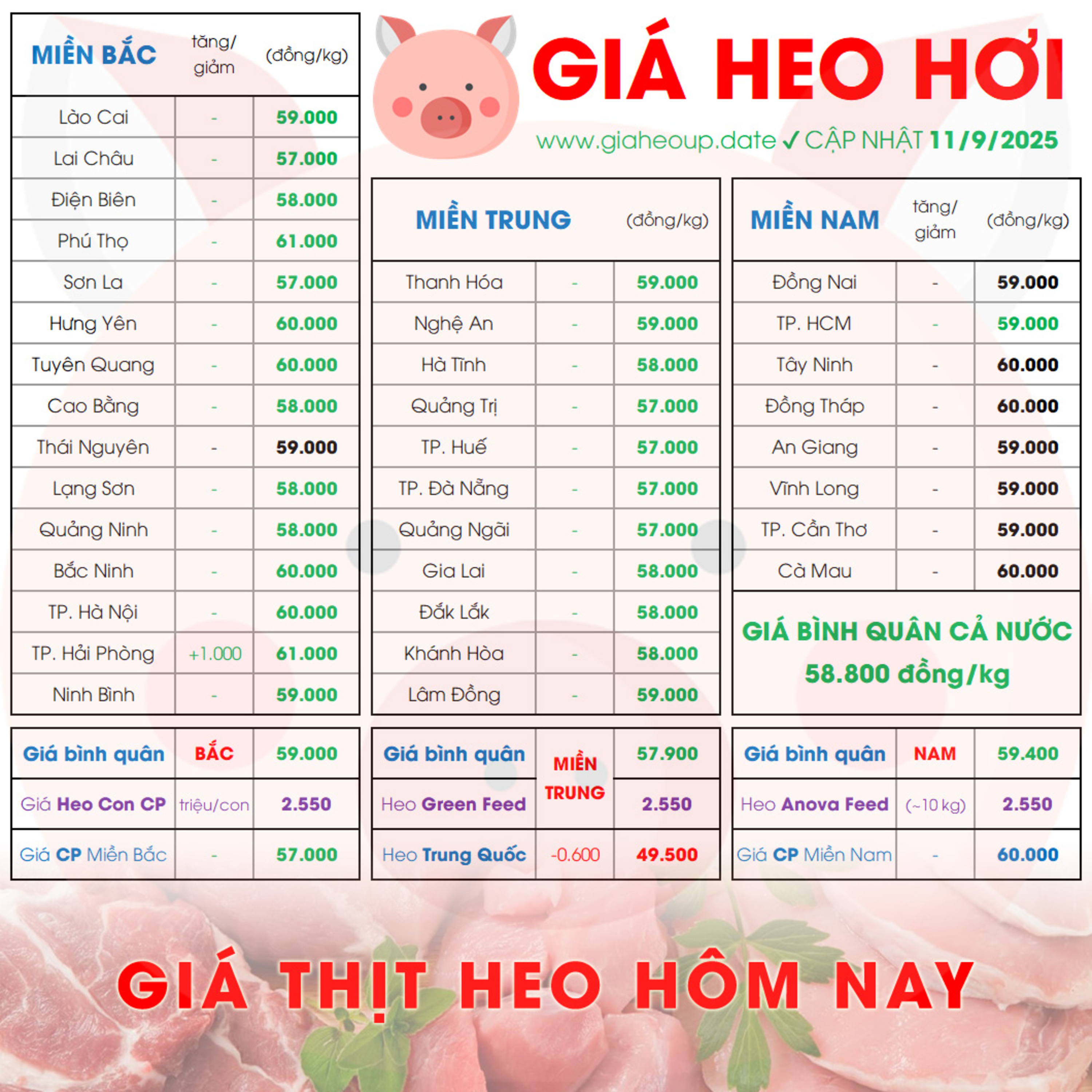GIÁ HEO HƠI 11/9/2025 ✅ GIÁ THỊT LỢN HÔM NAY & TIN TỨC CHĂN NUÔI #GIAHEOHOI #ASF #DICHTAHEOCHAUPHI episode artwork