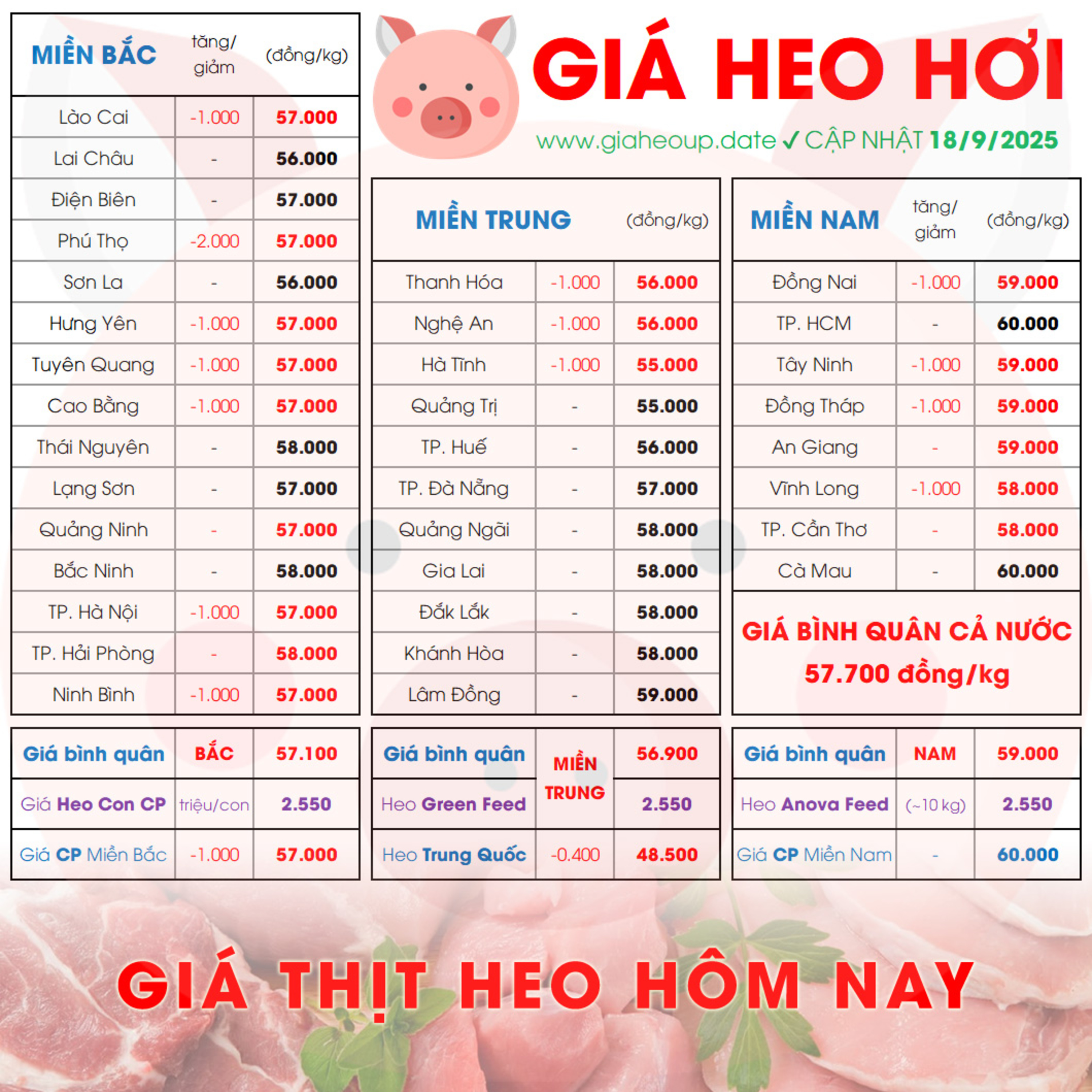 GIÁ LỢN HƠI 18/9/2025 ✅ GIÁ THỊT HEO HÔM NAY & TIN TỨC CHĂN NUÔI #GIAHEOHOI #ASF #DICHTAHEOCHAUPHI episode artwork