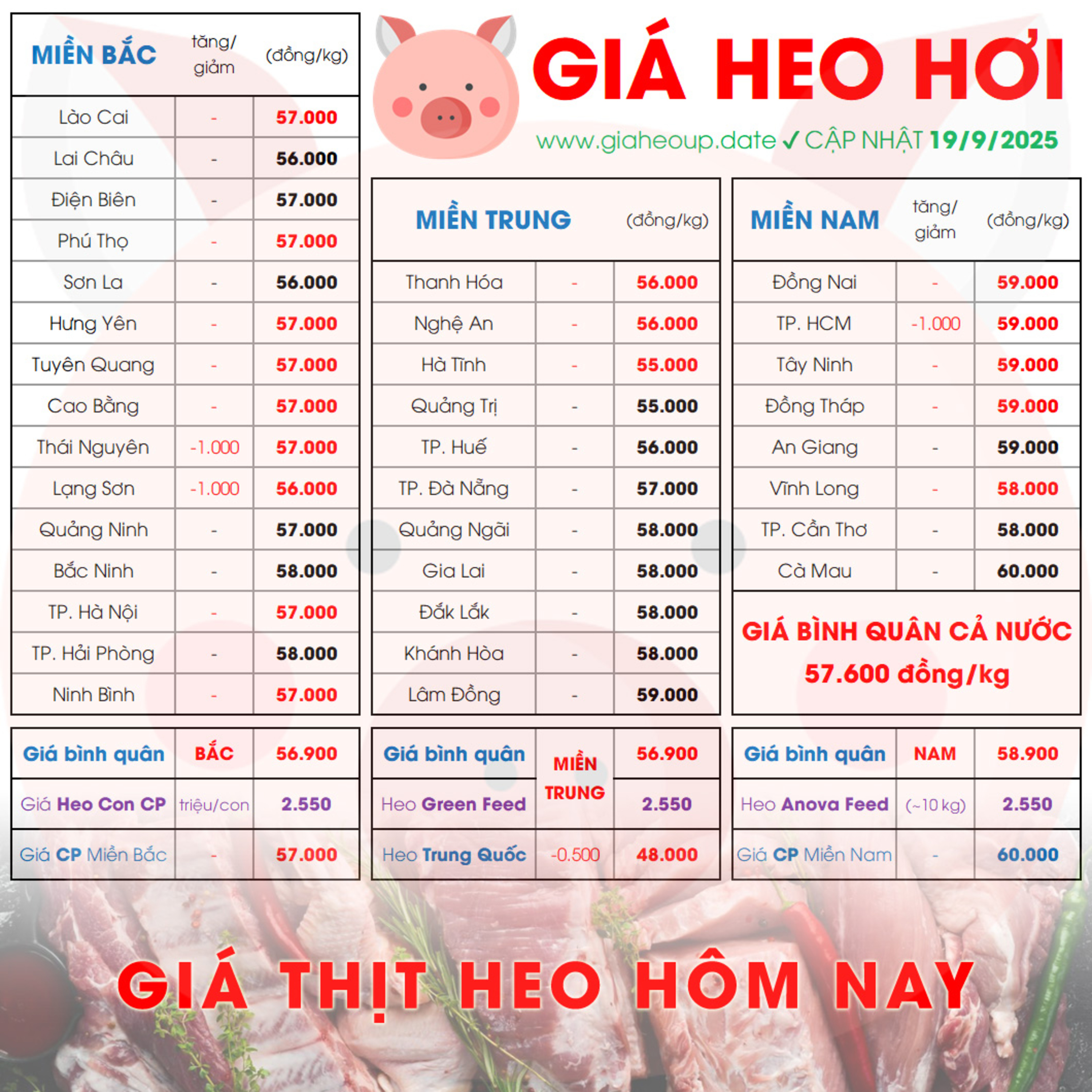 GIÁ HEO HƠI 19/9/2025 ✅ GIÁ THỊT LỢN HÔM NAY & TIN TỨC CHĂN NUÔI #GIAHEOHOI #ASF #DICHTAHEOCHAUPHI episode artwork