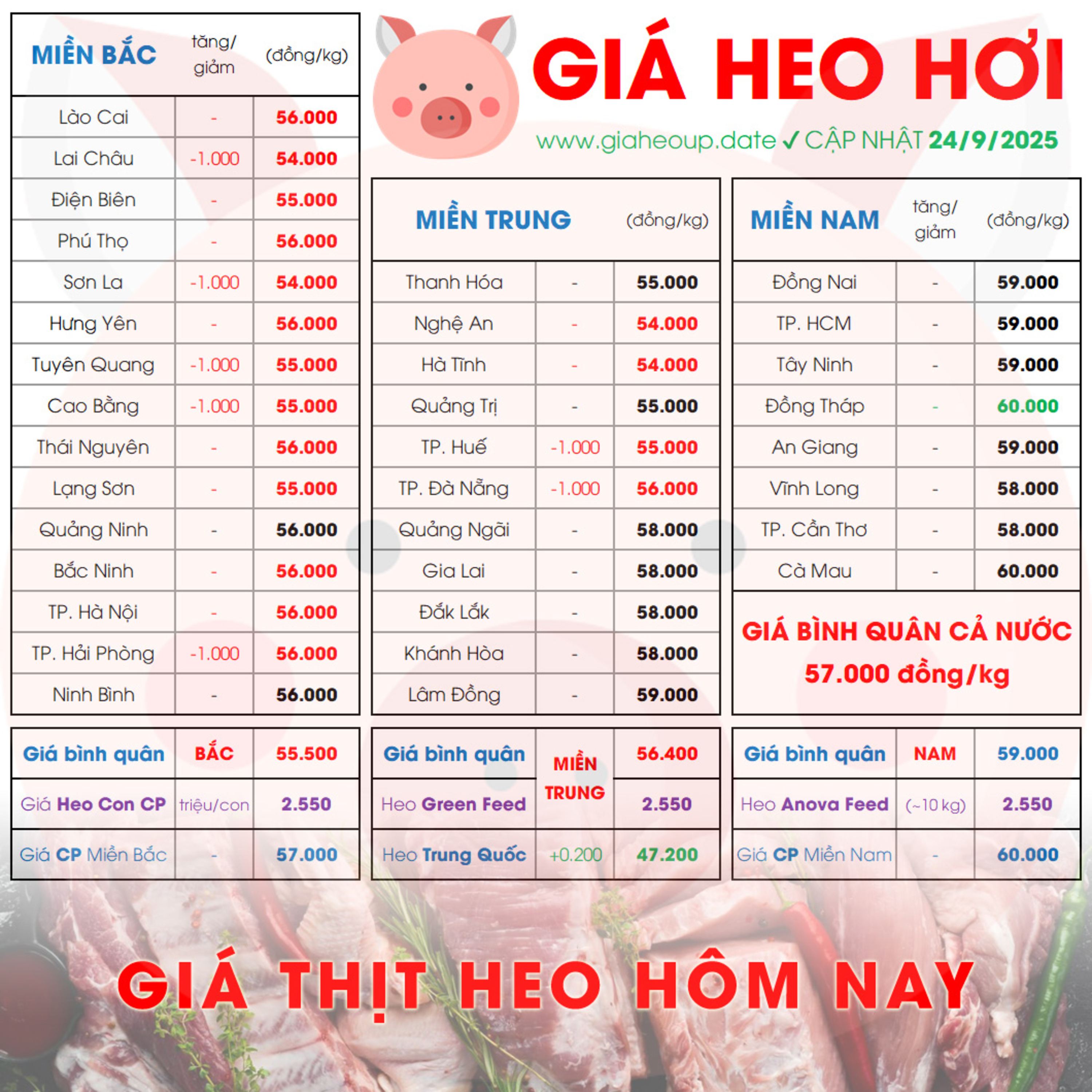GIÁ LỢN HƠI 24/9/2025 ✅ GIÁ THỊT HEO HÔM NAY & TIN TỨC CHĂN NUÔI #GIAHEOHOI #ASF #DICHTAHEOCHAUPHI episode artwork