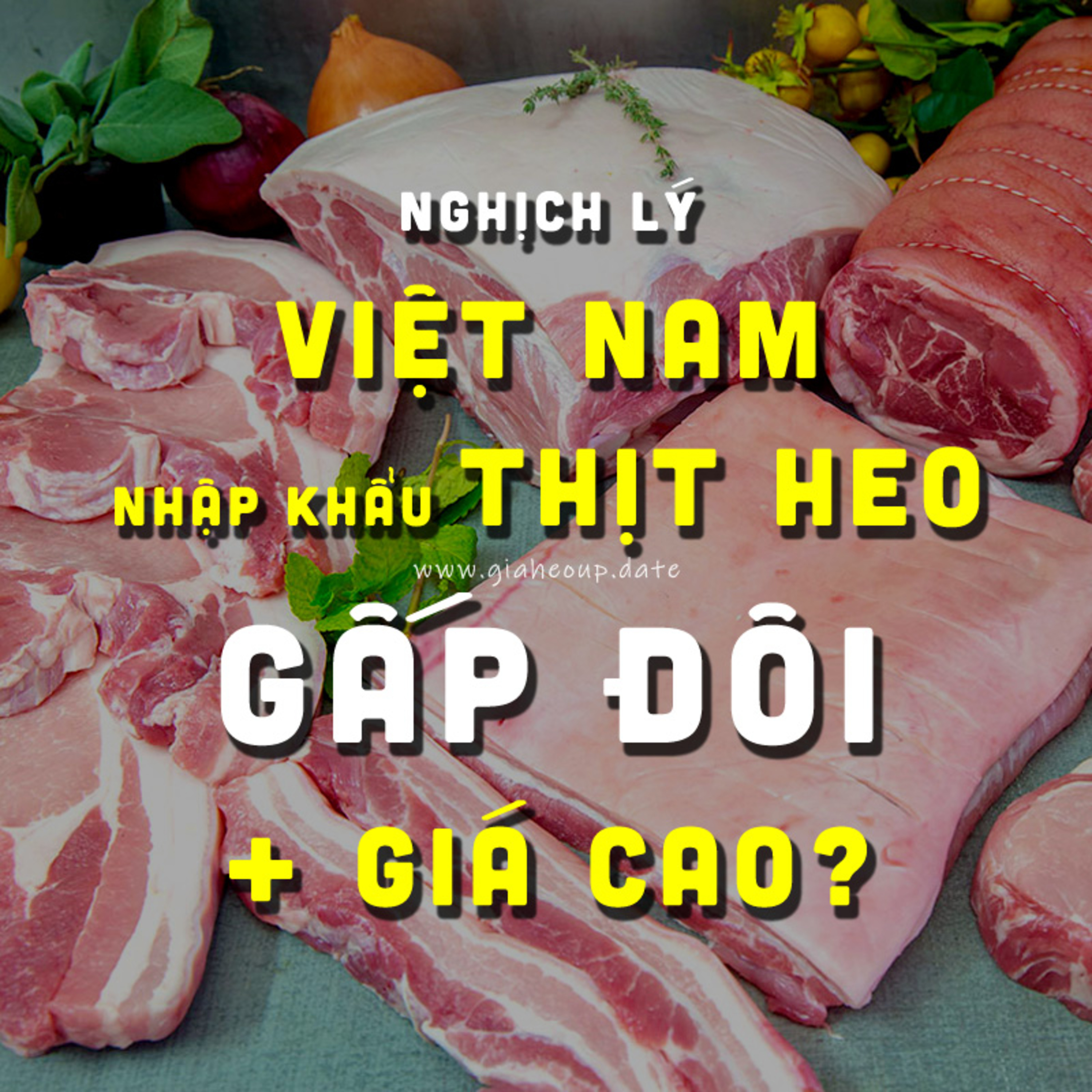 GIÁ HEO HƠI