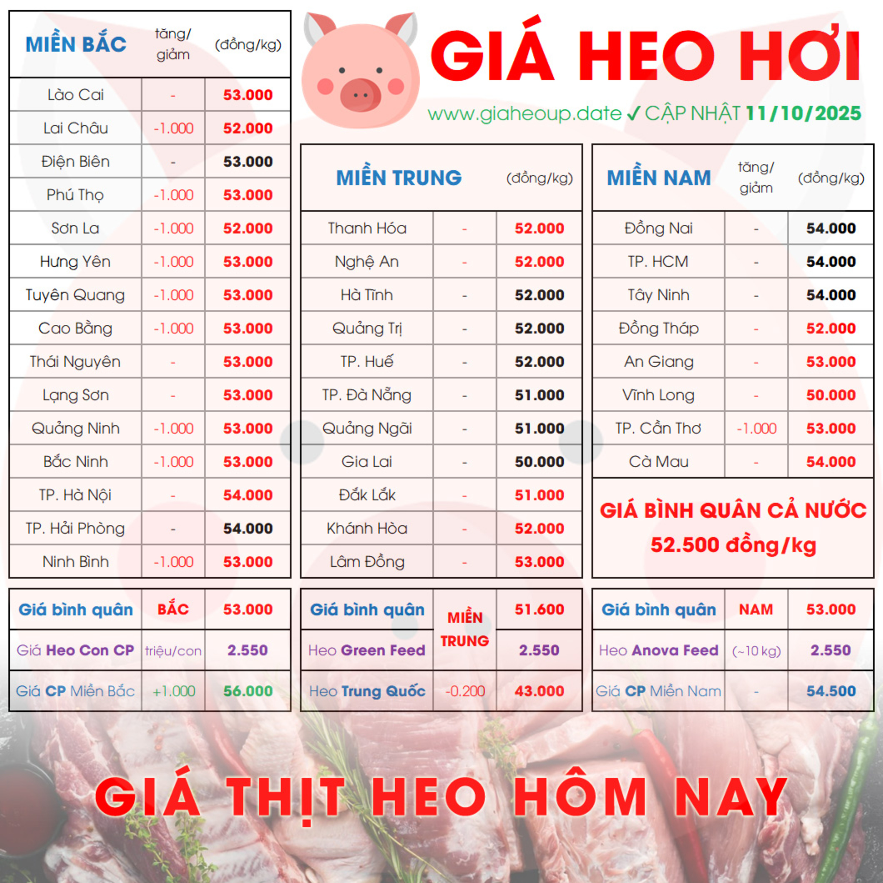 GIÁ LỢN HƠI 11/10/2025 ✅ GIÁ THỊT HEO HÔM NAY & TIN TỨC CHĂN NUÔI #GIAHEOHOI #ASF #DICHTAHEOCHAUPHI episode artwork