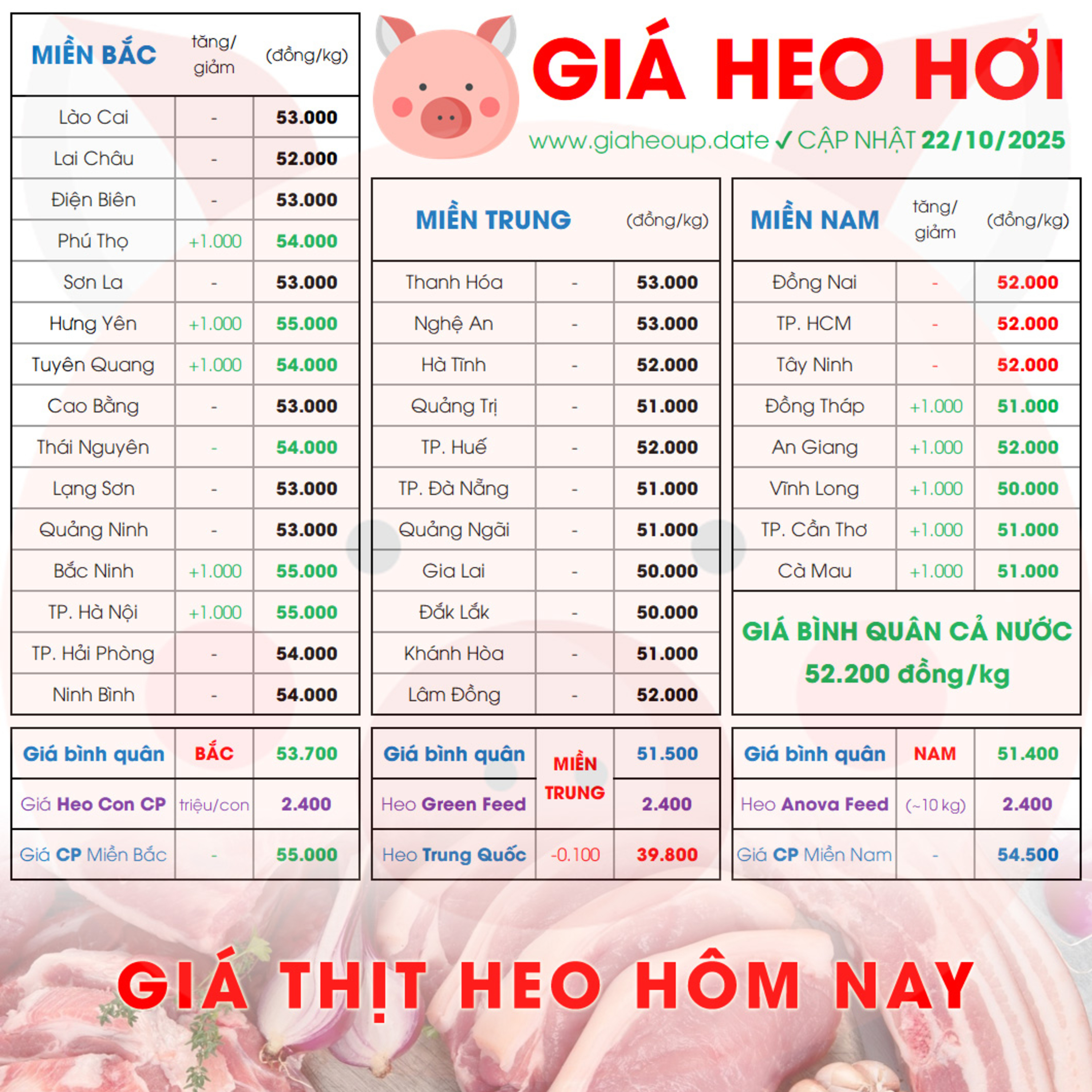 GIÁ HEO HƠI 22/10/2025 ✅ GIÁ THỊT LỢN HÔM NAY & TIN TỨC CHĂN NUÔI #GIAHEOHOI #ASF #DICHTAHEOCHAUPHI episode artwork