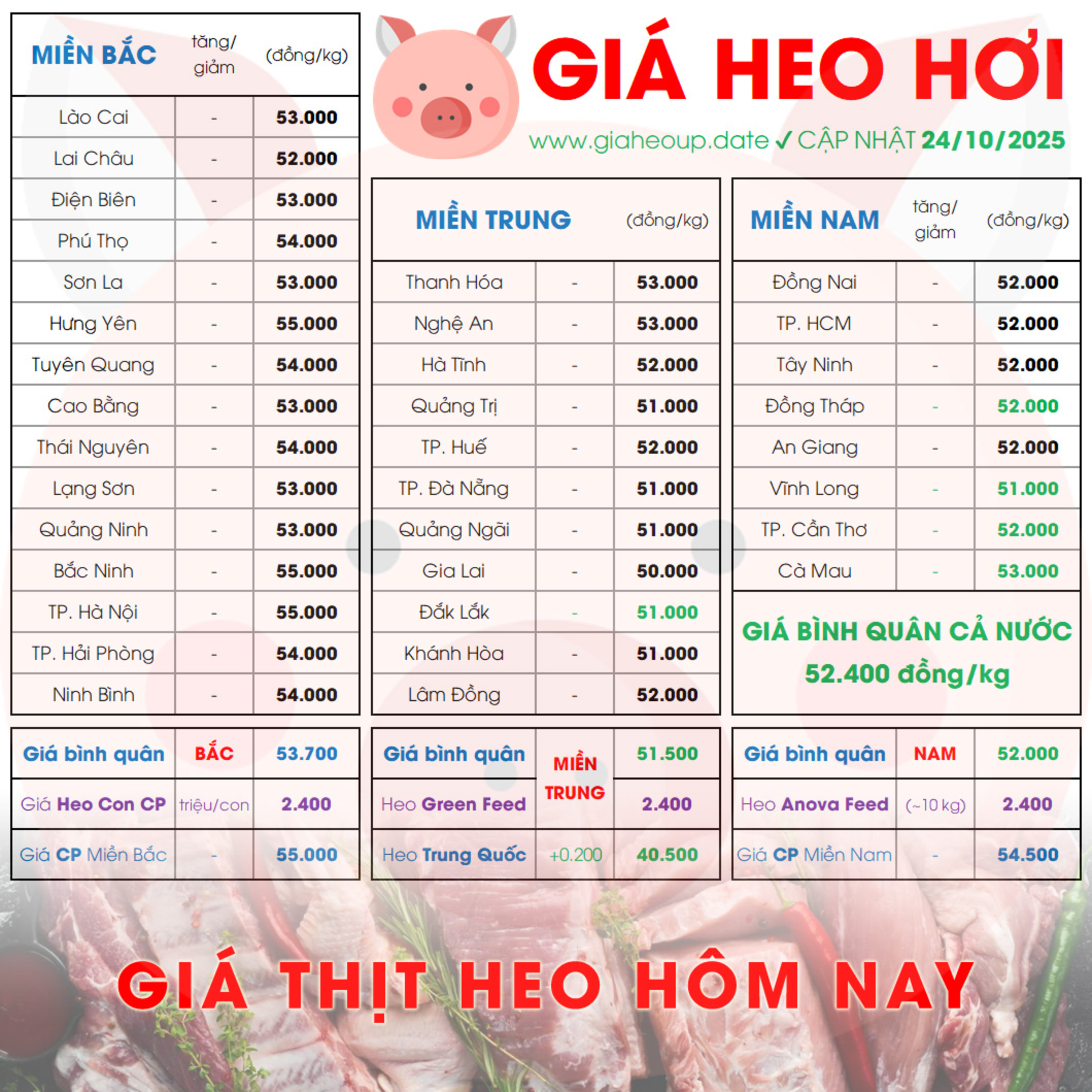GIÁ HEO HƠI 24/10/2025 ✅ GIÁ THỊT LỢN HÔM NAY & TIN TỨC CHĂN NUÔI #GIAHEOHOI #ASF #DICHTAHEOCHAUPHI episode artwork