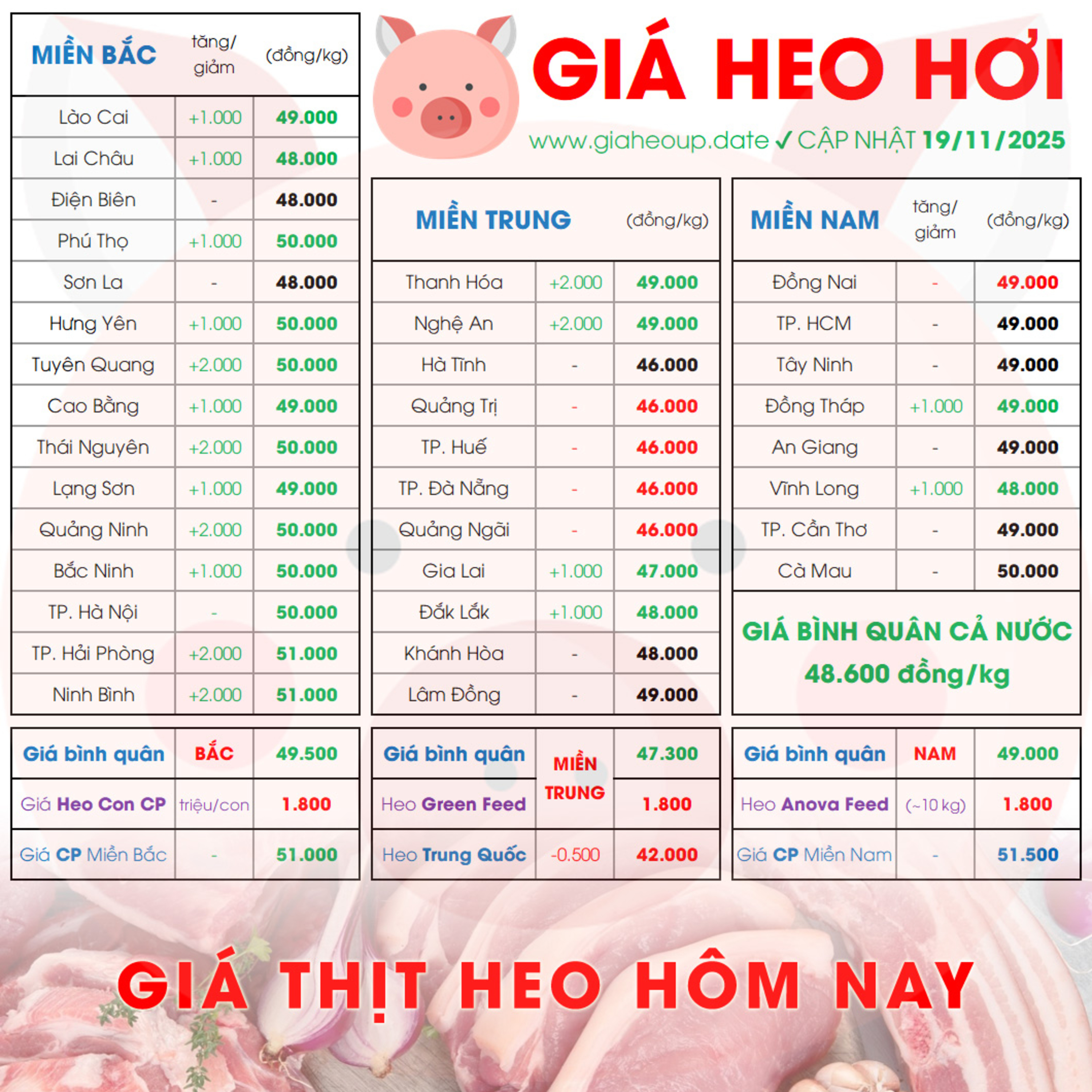 GIÁ HEO HƠI 19/11/2025 ✅ GIÁ THỊT LỢN HÔM NAY & TIN TỨC CHĂN NUÔI #GIAHEOHOI #ASF #DICHTAHEOCHAUPHI episode artwork