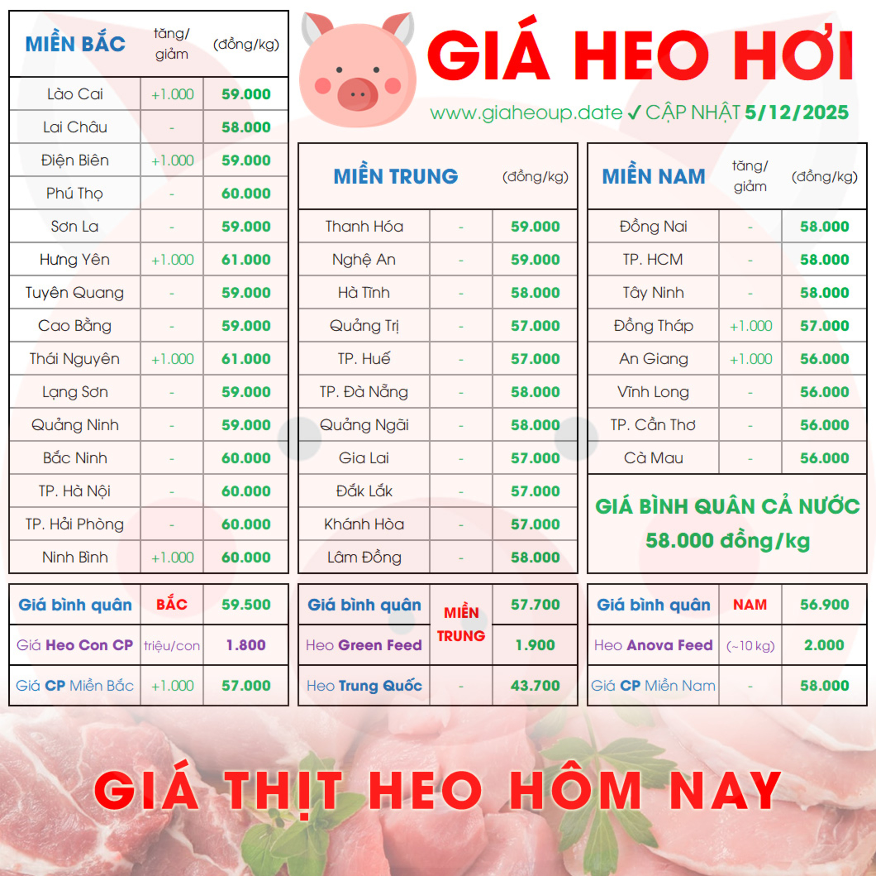 GIÁ HEO HƠI 5/12/2025 ✅ GIÁ THỊT LỢN HÔM NAY & TIN TỨC CHĂN NUÔI #GIAHEOHOI #DICHTAHEOCHAUPHI #ASF episode artwork