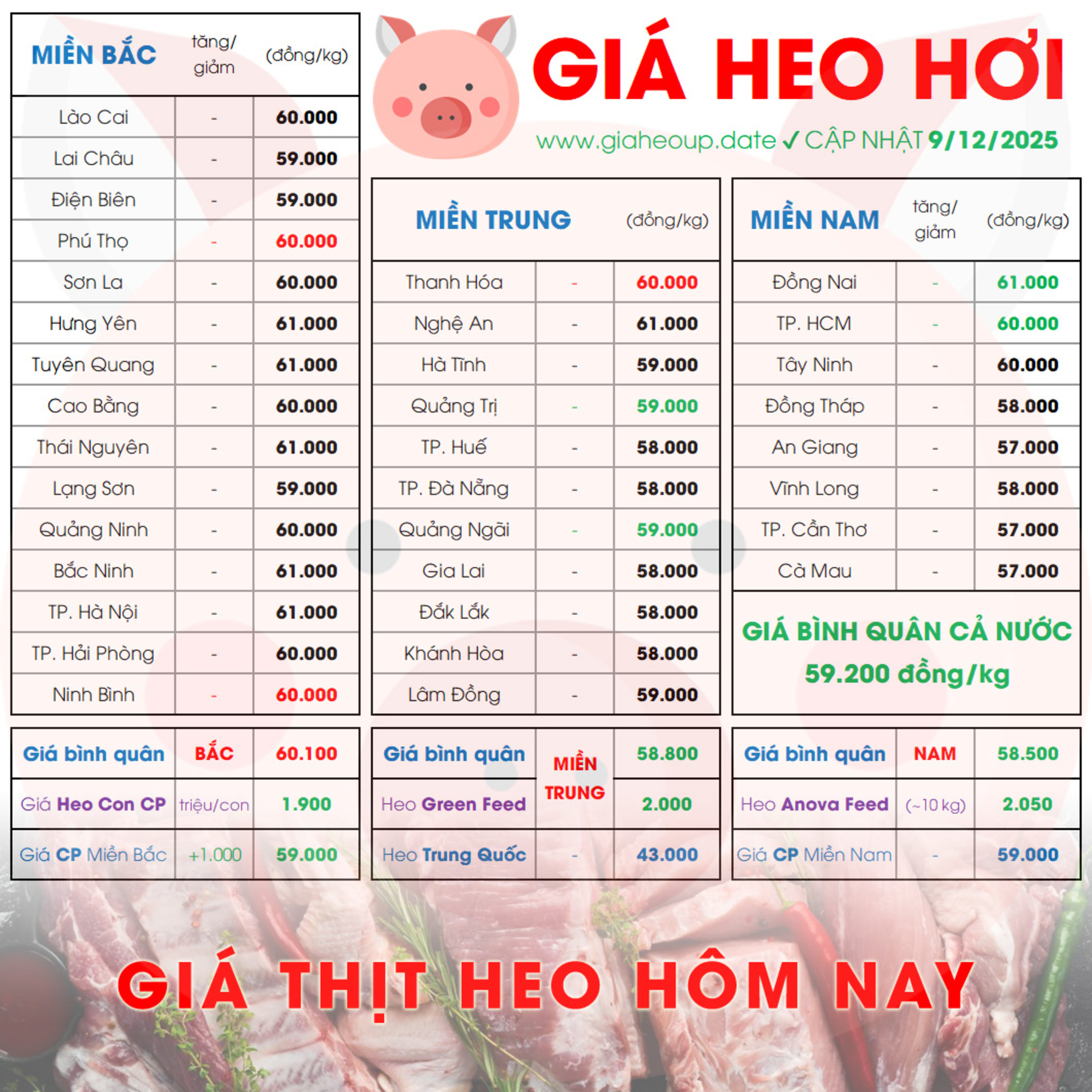 GIÁ HEO HƠI 9/12/2025 ✅ GIÁ THỊT LỢN HÔM NAY & TIN TỨC CHĂN NUÔI #GIAHEOHOI #DICHTAHEOCHAUPHI #ASF episode artwork