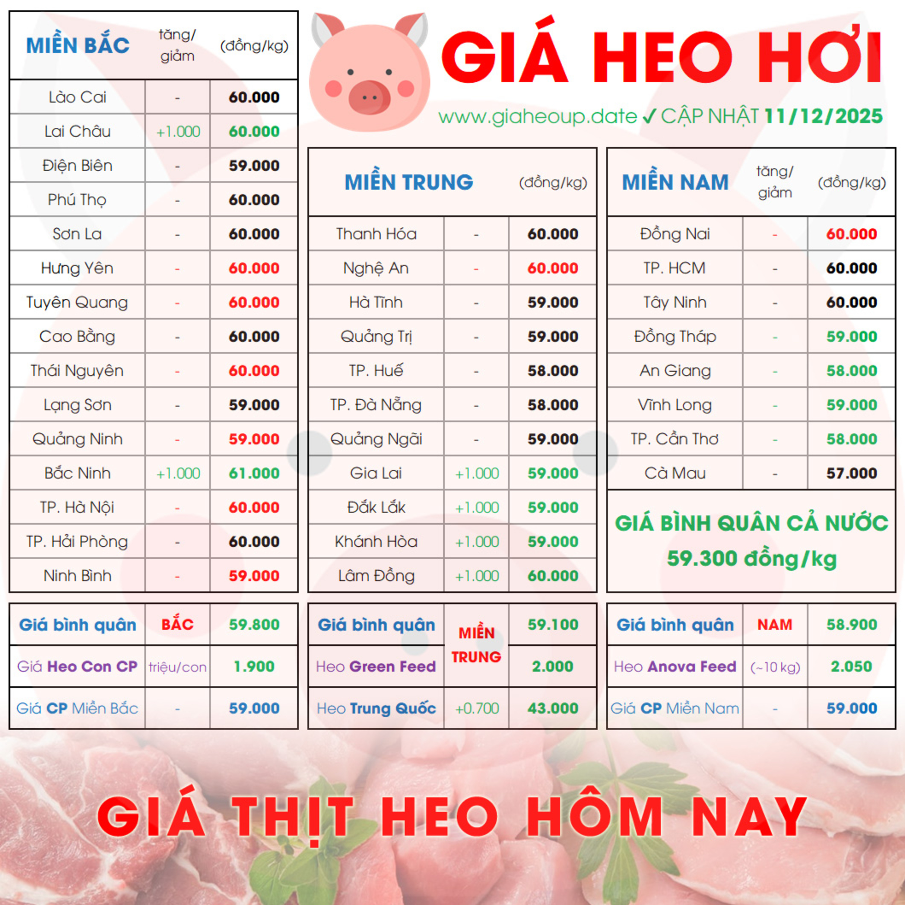 GIÁ HEO HƠI 11/12/2025 ✅ GIÁ THỊT LỢN HÔM NAY & TIN TỨC CHĂN NUÔI #GIAHEOHOI #DICHTAHEOCHAUPHI #ASF episode artwork