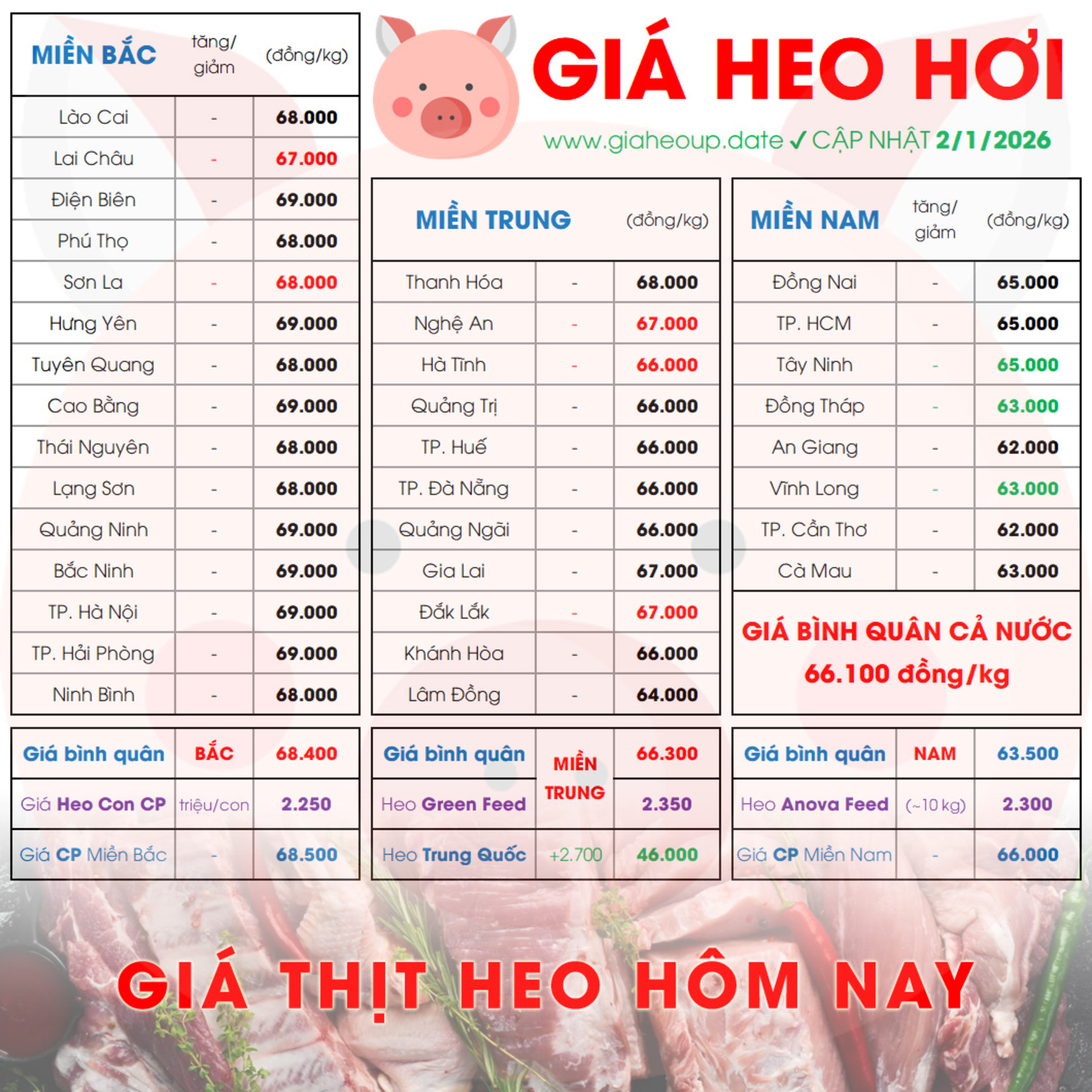 GIÁ LỢN HƠI 2/1/2026 ✅ GIÁ THỊT HEO HÔM NAY & TIN TỨC CHĂN NUÔI #GIAHEOHOI #GIATHITHEO #TET2026 episode artwork