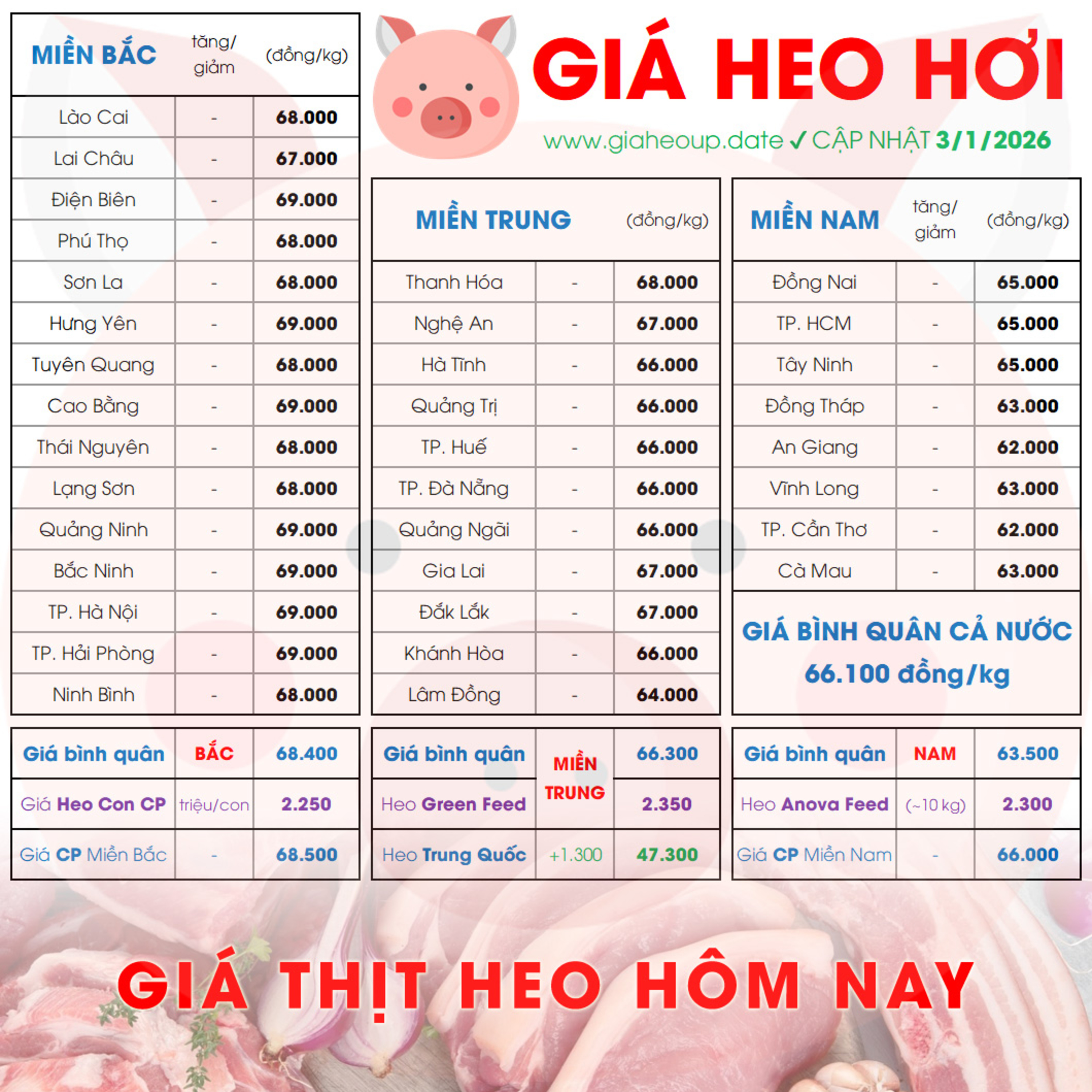 GIÁ HEO HƠI 3/1/2026 ✅ GIÁ THỊT LỢN & TIN TỨC CHĂN NUÔI #GIAHEOHOI #GIATHITHEO #GIAHEOUPDATE episode artwork