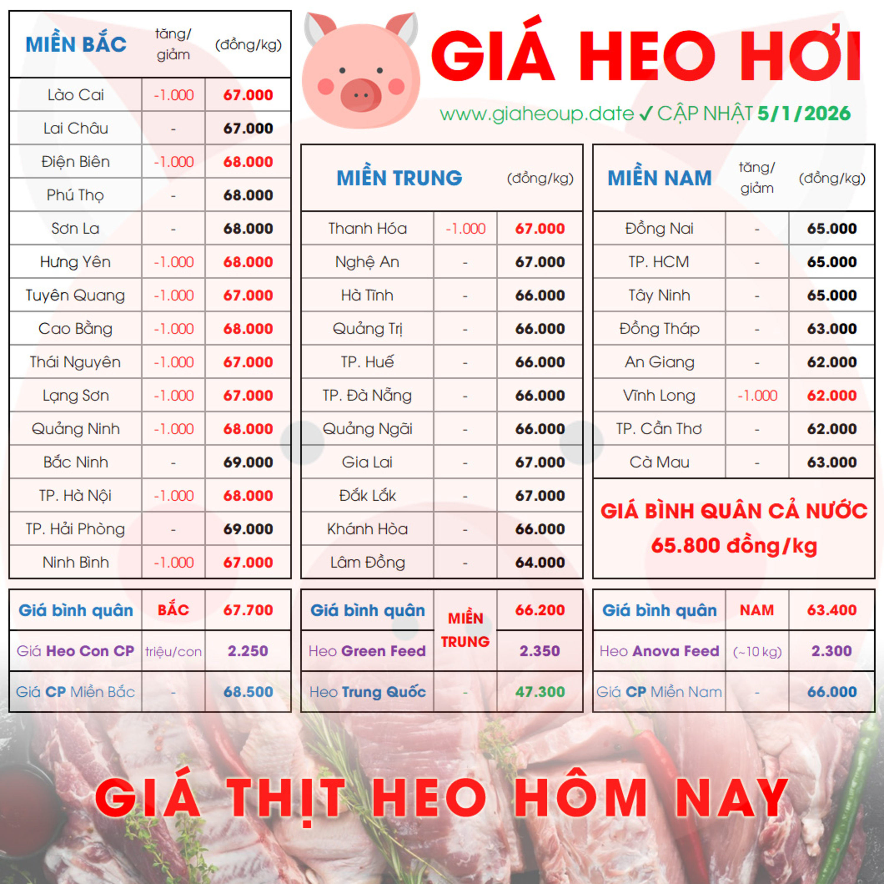 GIÁ HEO HƠI 5/1/2026 ✅ GIÁ THỊT LỢN & TIN TỨC CHĂN NUÔI #GIAHEOHOI #GIATHITHEO #GIAHEOUPDATE episode artwork