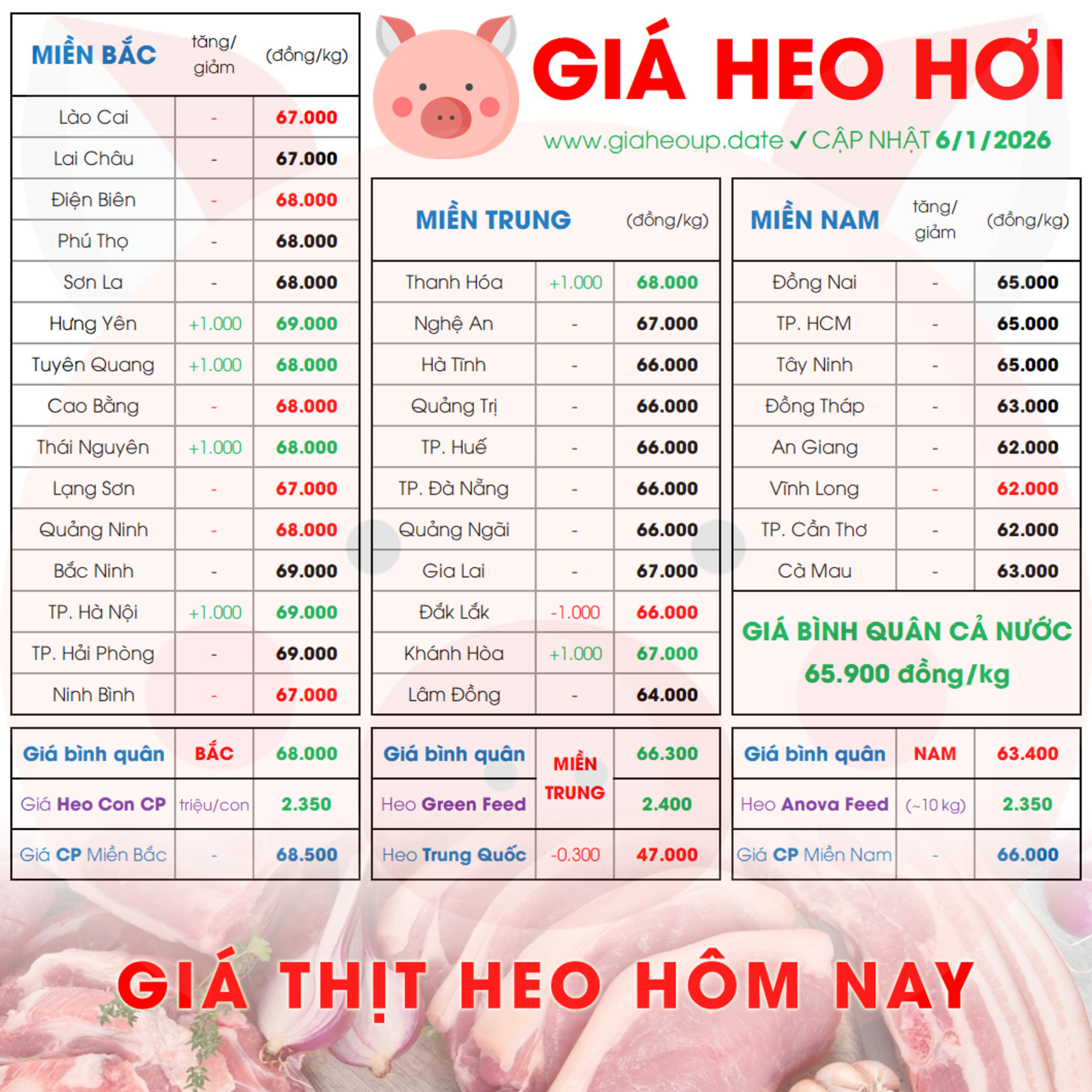 GIÁ LỢN HƠI 6/1/2026 ✅ GIÁ THỊT HEO HÔM NAY & TIN TỨC CHĂN NUÔI #GIAHEOHOI #GIATHITHEO #TET2026 episode artwork