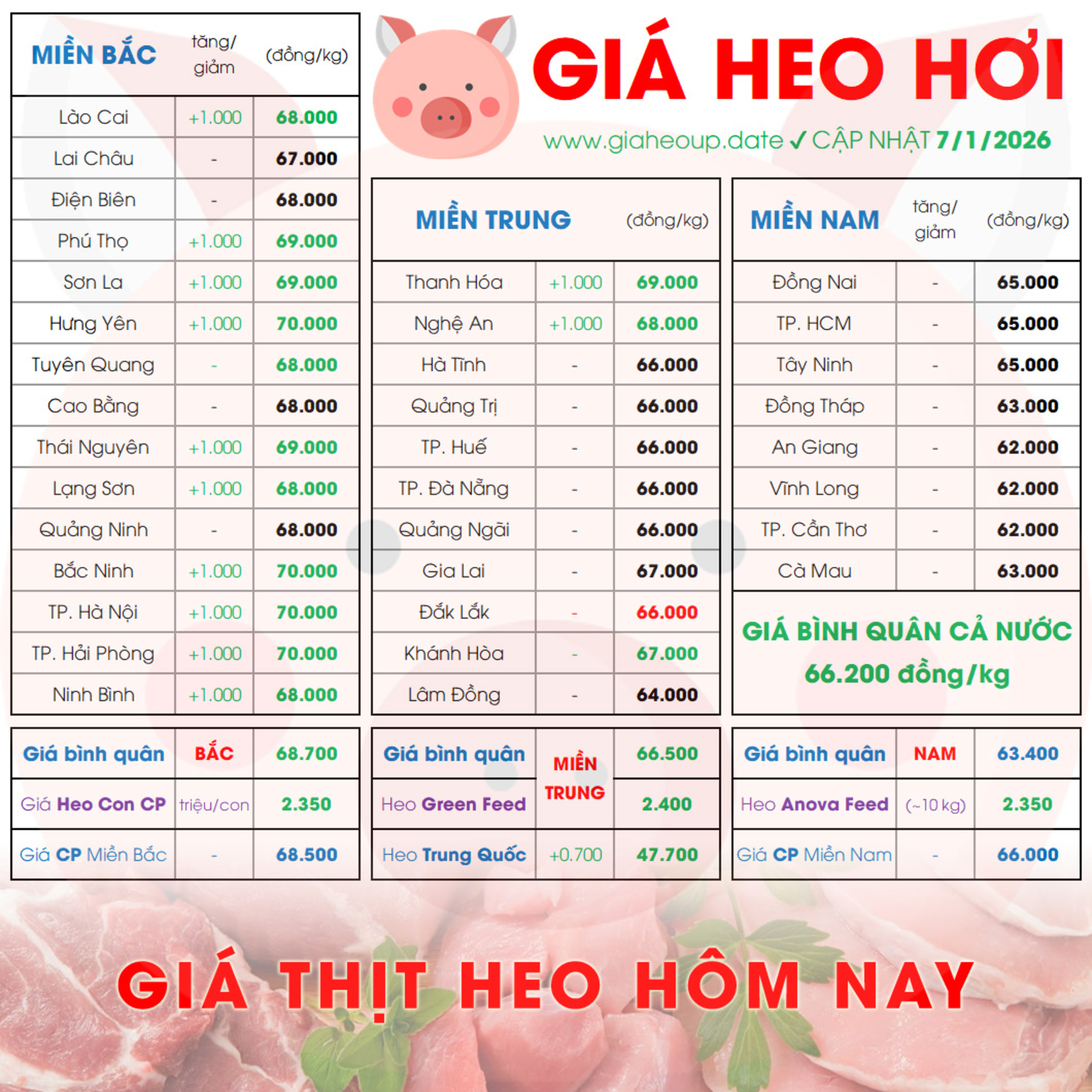 GIÁ HEO HƠI 7/1/2026 ✅ GIÁ THỊT LỢN & TIN TỨC CHĂN NUÔI #GIAHEOHOI #GIATHITHEO #GIAHEOUPDATE episode artwork