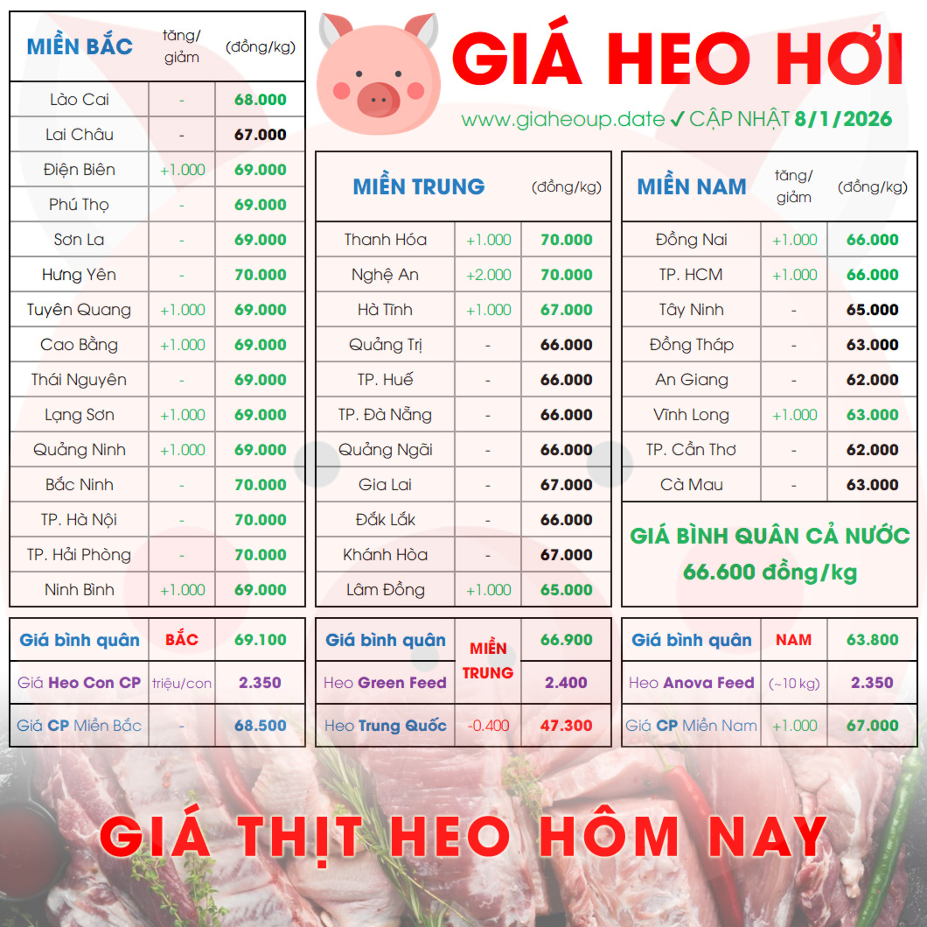 GIÁ LỢN HƠI 8/1/2026 ✅ GIÁ THỊT HEO HÔM NAY & TIN TỨC CHĂN NUÔI #GIAHEOHOI #GIATHITHEO #TET2026 episode artwork