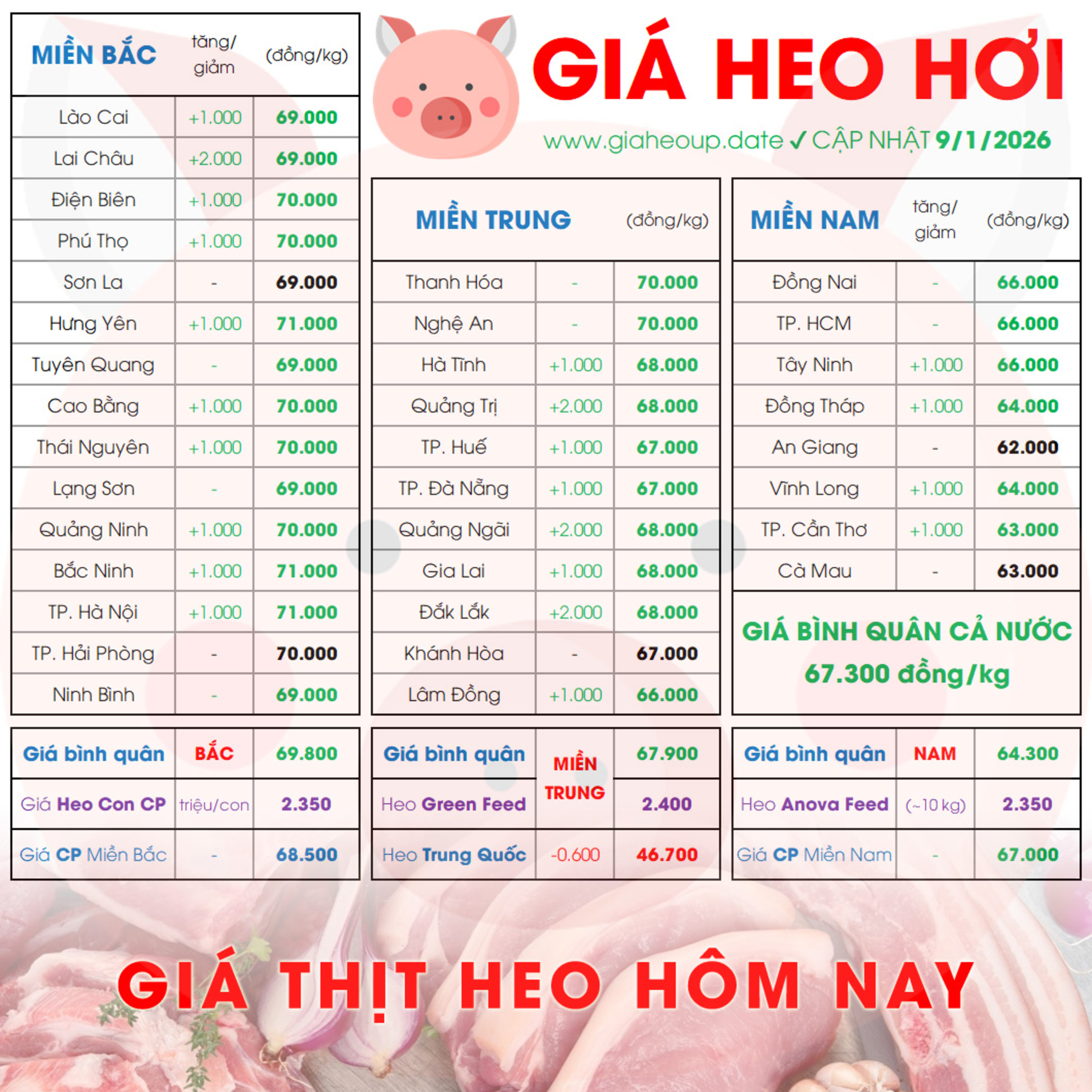 GIÁ HEO HƠI 9/1/2026 ✅ GIÁ THỊT LỢN & TIN TỨC CHĂN NUÔI #GIAHEOHOI #GIATHITHEO #GIAHEOUPDATE episode artwork