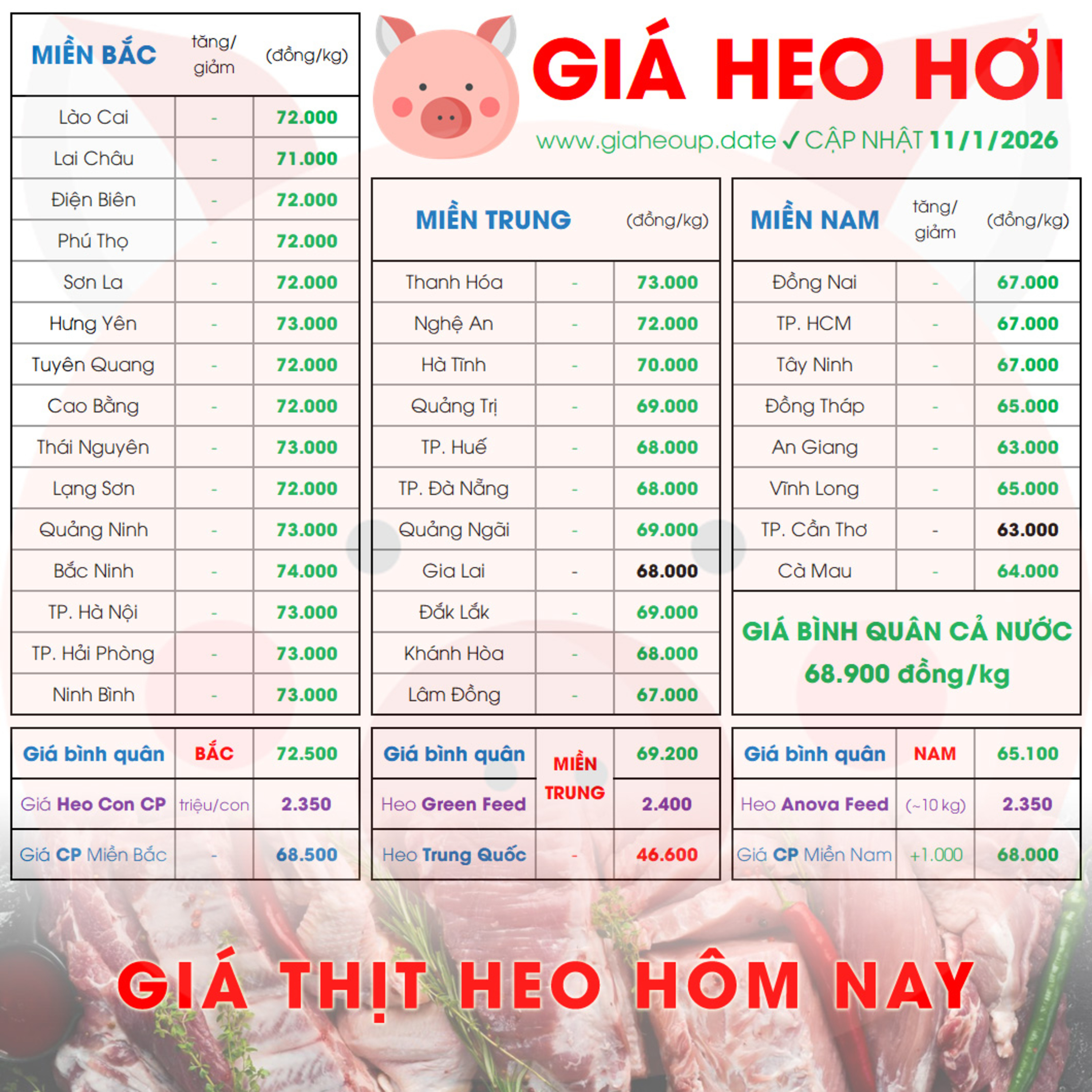 GIÁ HEO HƠI 11/1/2026 ✅ GIÁ THỊT LỢN & TIN TỨC CHĂN NUÔI #GIAHEOHOI #GIATHITHEO #GIAHEOUPDATE episode artwork