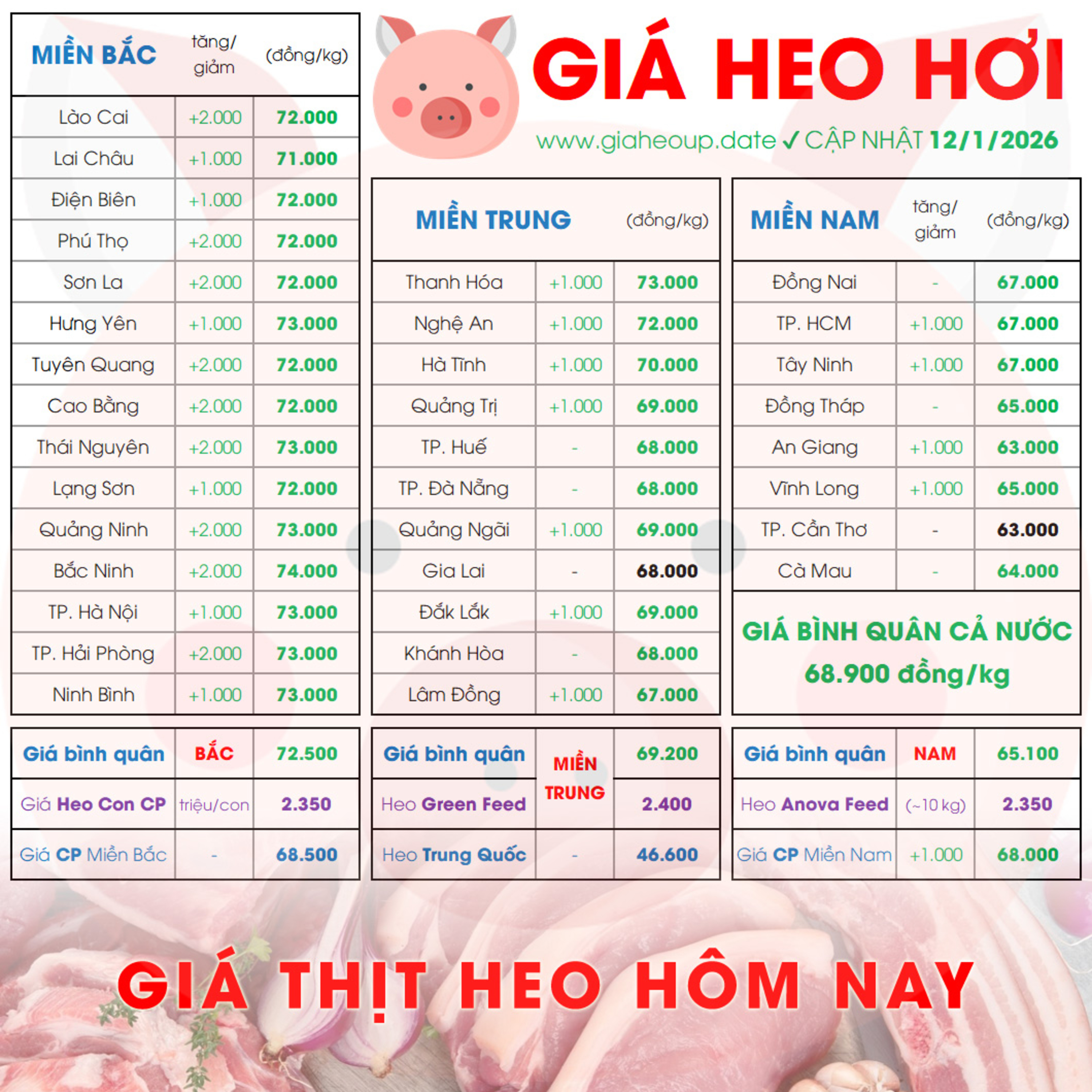 GIÁ LỢN HƠI 12/1/2026 ✅ GIÁ THỊT HEO HÔM NAY & TIN TỨC CHĂN NUÔI #GIAHEOHOI #GIATHITHEO #TET2026 episode artwork