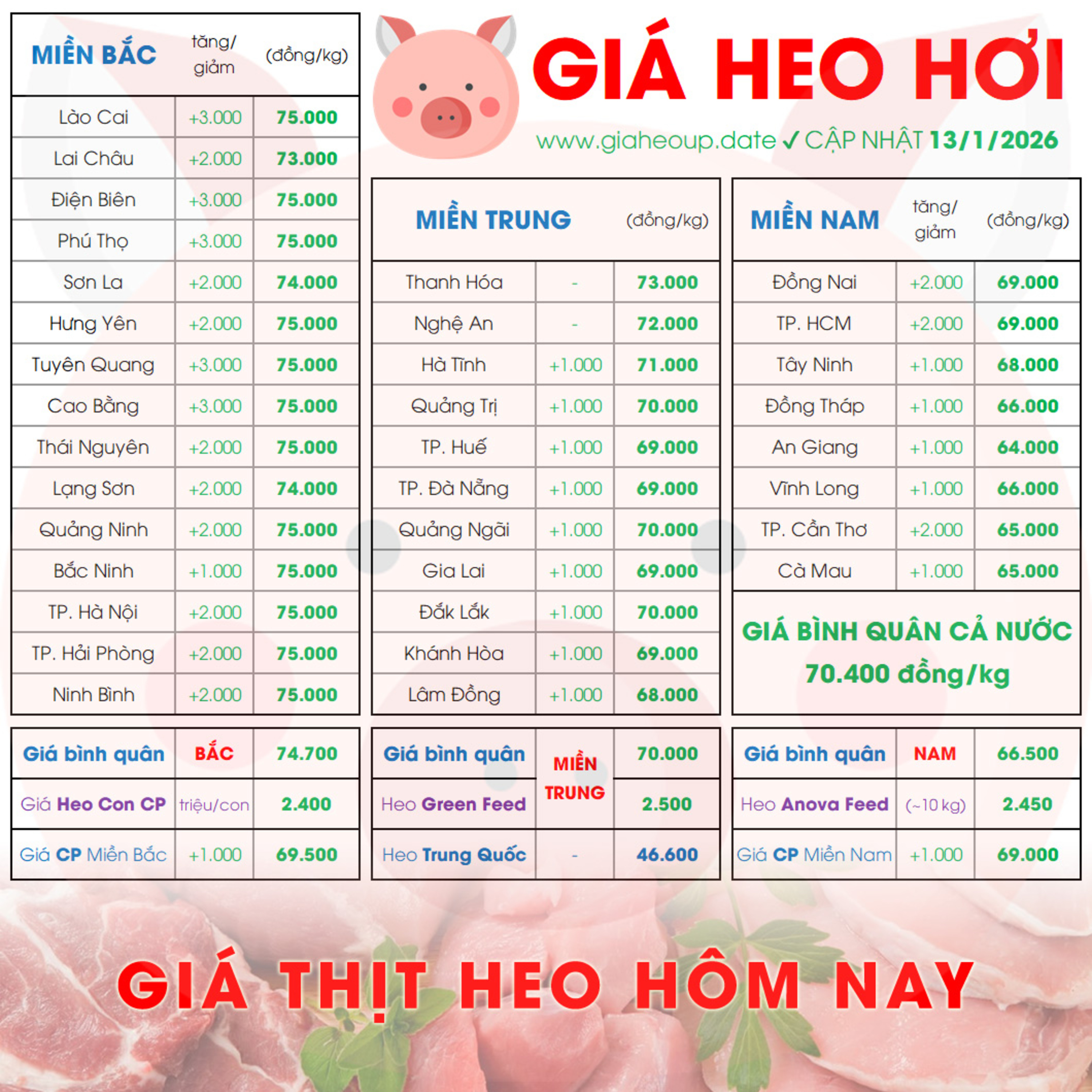GIÁ HEO HƠI 13/1/2026 ✅ GIÁ THỊT LỢN & TIN TỨC CHĂN NUÔI #GIAHEOHOI #GIATHITHEO #GIAHEOUPDATE episode artwork
