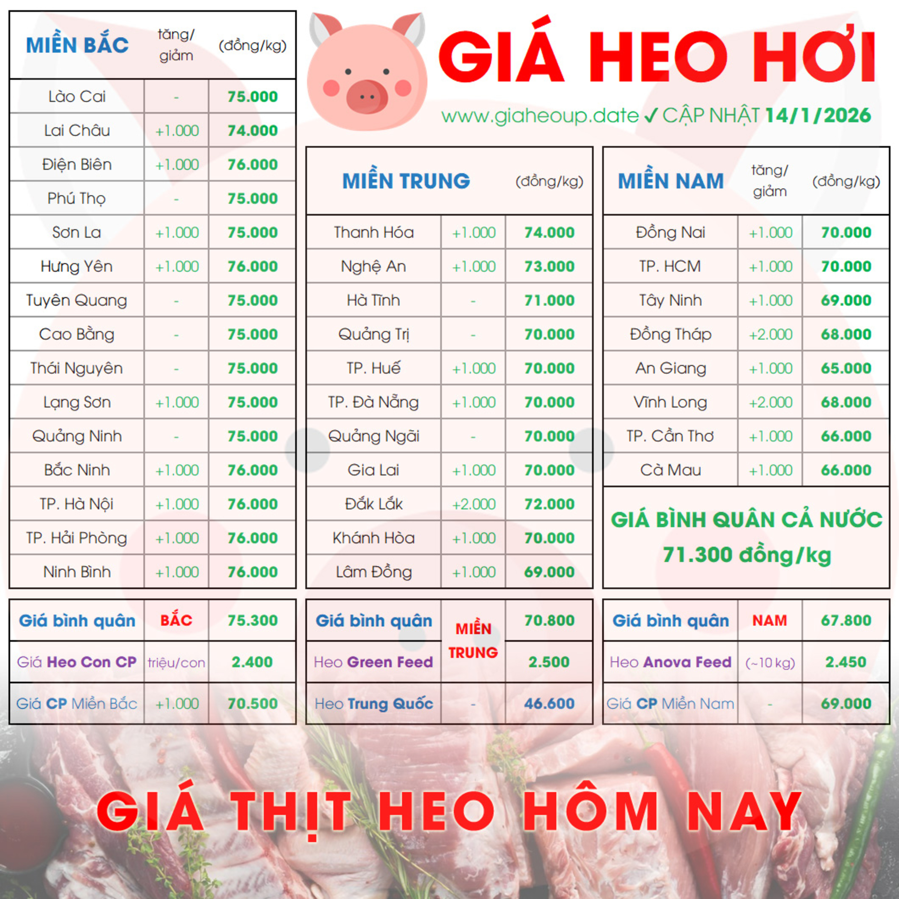 GIÁ LỢN HƠI 14/1/2026 ✅ GIÁ THỊT HEO HÔM NAY & TIN TỨC CHĂN NUÔI #GIAHEOHOI #GIATHITHEO #TET2026 episode artwork