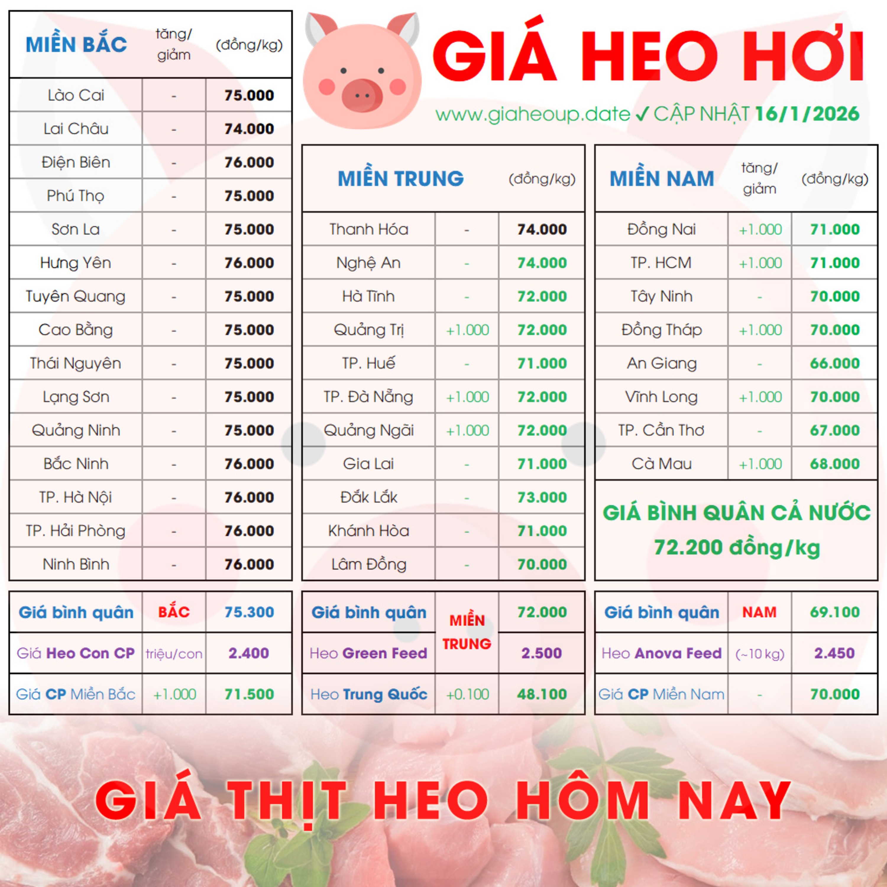 GIÁ LỢN HƠI 16/1/2026 ✅ GIÁ THỊT HEO HÔM NAY & TIN TỨC CHĂN NUÔI #GIAHEOHOI #GIATHITHEO #TET2026 episode artwork