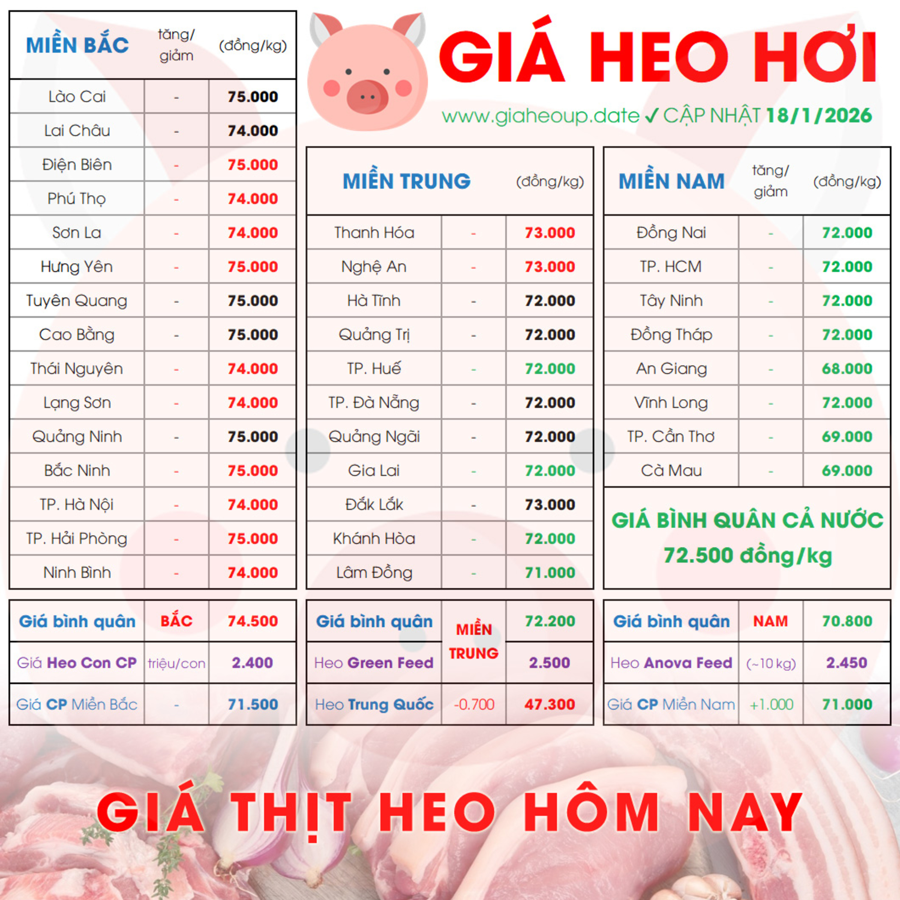 GIÁ LỢN HƠI 18/1/2026 ✅ GIÁ THỊT HEO HÔM NAY & TIN TỨC CHĂN NUÔI #GIAHEOHOI #GIATHITHEO #TET2026 episode artwork