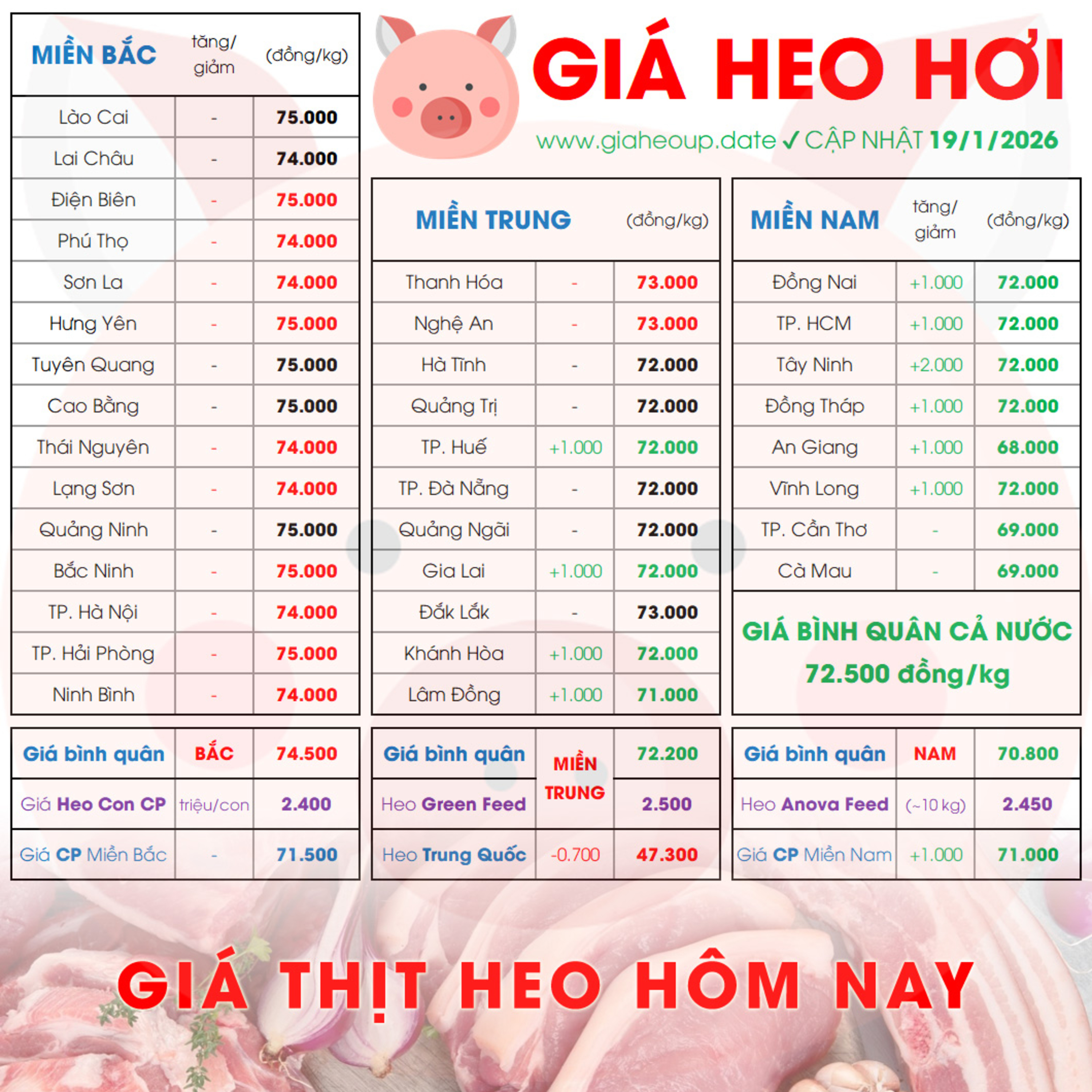 GIÁ HEO HƠI 19/1/2026 ✅ GIÁ THỊT LỢN & TIN TỨC CHĂN NUÔI #GIAHEOHOI #GIATHITHEO #GIAHEOUPDATE episode artwork