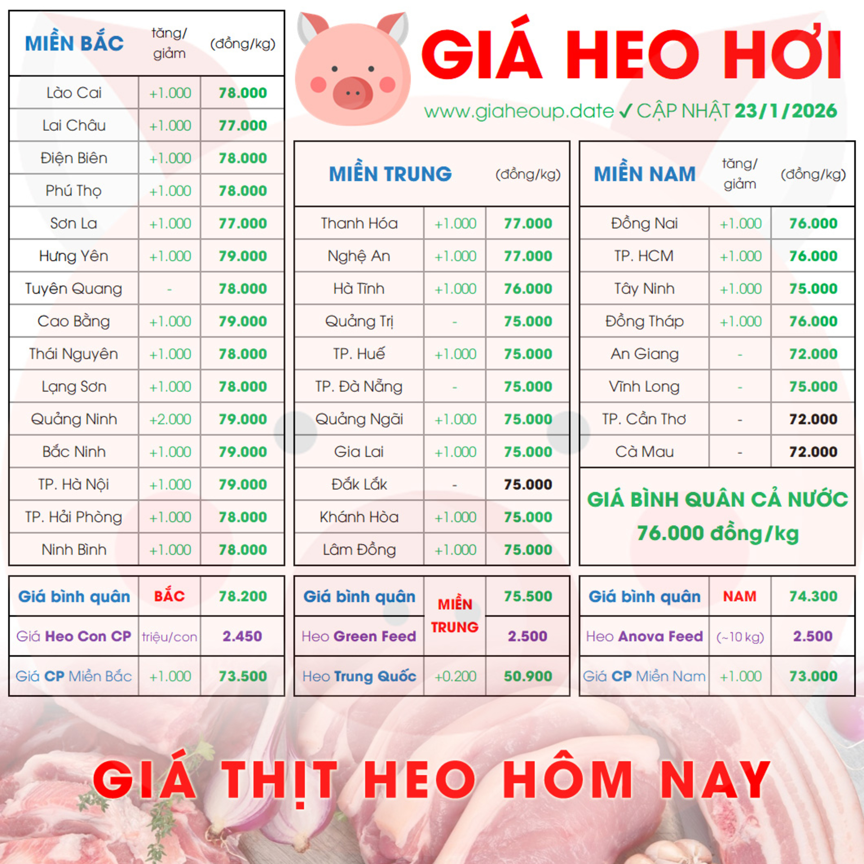 GIÁ HEO HƠI 23/1/2026 ✅ GIÁ THỊT LỢN & TIN TỨC CHĂN NUÔI #GIAHEOHOI #GIATHITHEO #GIAHEOUPDATE episode artwork