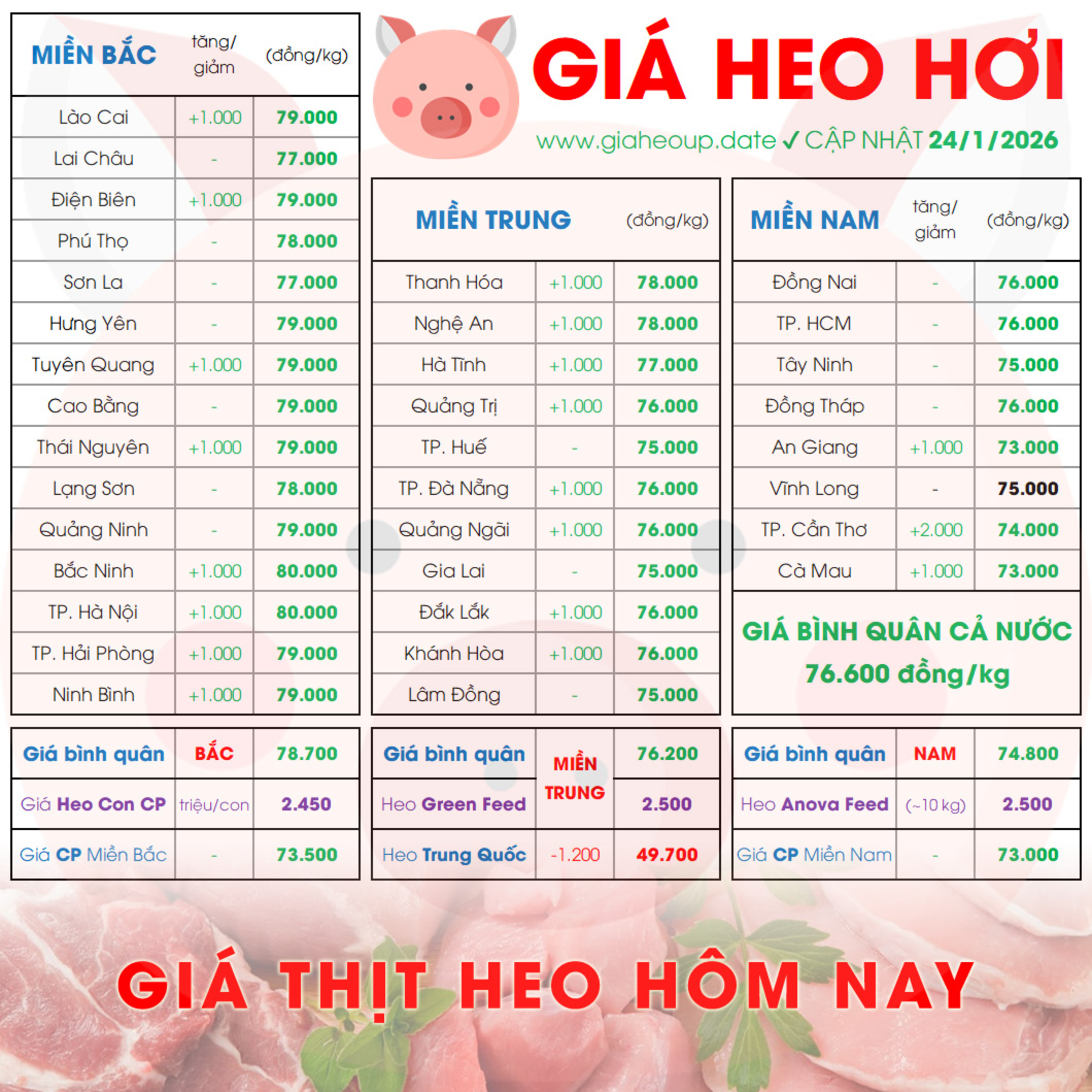 GIÁ LỢN HƠI 24/1/2026 ✅ GIÁ THỊT HEO HÔM NAY & TIN TỨC CHĂN NUÔI #GIAHEOHOI #GIATHITHEO #TET2026 episode artwork