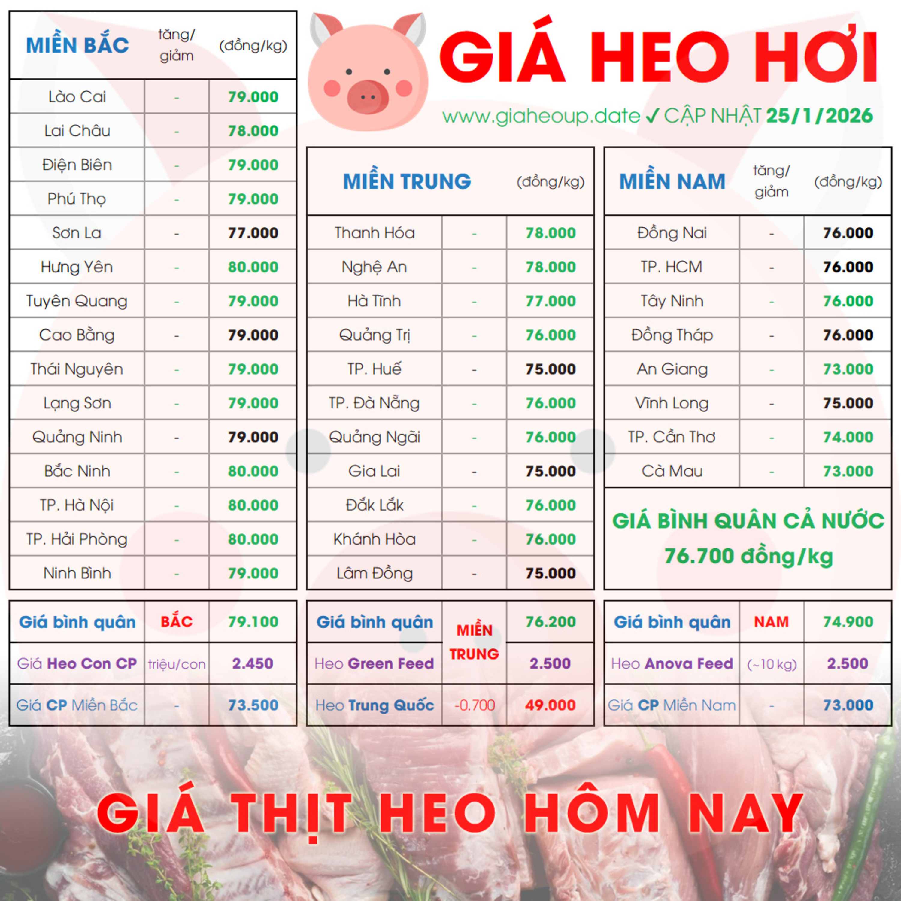 GIÁ HEO HƠI 25/1/2026 ✅ GIÁ THỊT LỢN & TIN TỨC CHĂN NUÔI #GIAHEOHOI #GIATHITHEO #GIAHEOUPDATE episode artwork