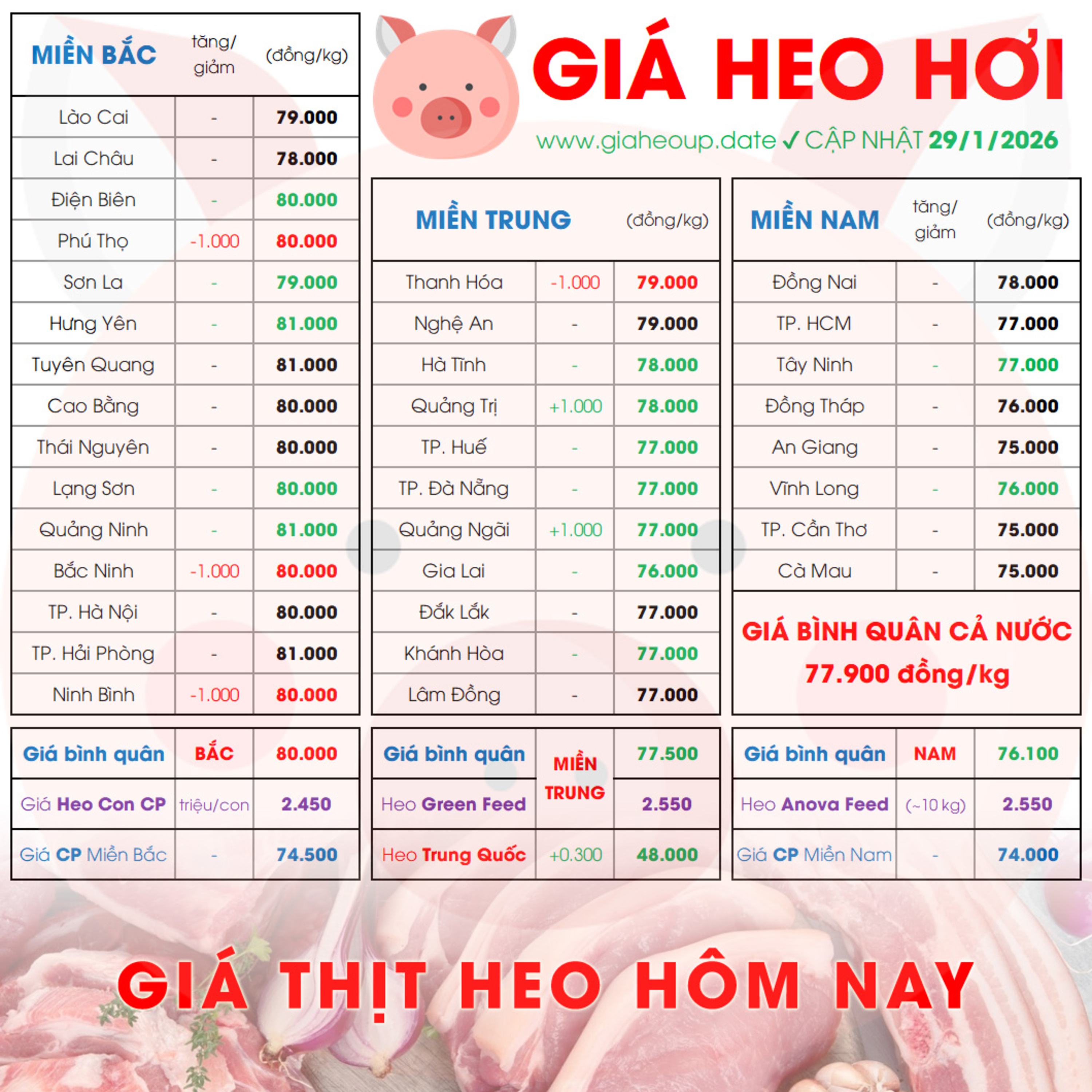 GIÁ HEO HƠI 29/1/2026 ✅ GIÁ THỊT LỢN & TIN TỨC CHĂN NUÔI #GIAHEOHOI #GIATHITHEO #GIAHEOUPDATE episode artwork