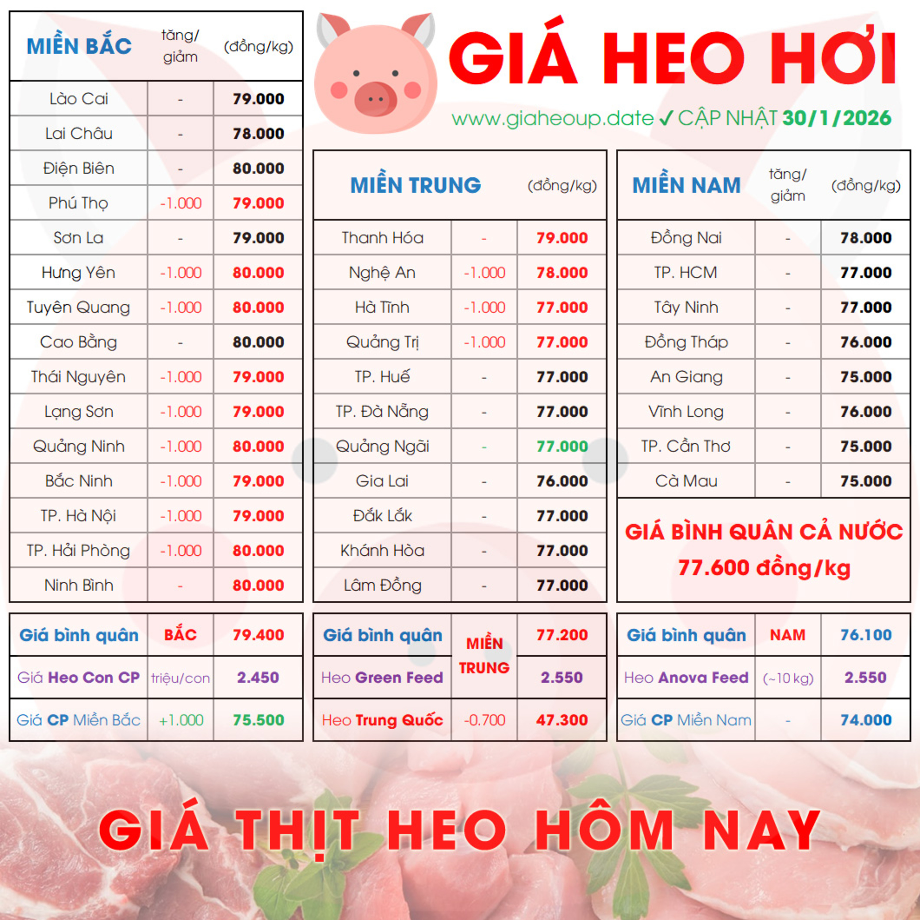 GIÁ LỢN HƠI 30/1/2026 ✅ GIÁ THỊT HEO HÔM NAY & TIN TỨC CHĂN NUÔI #GIAHEOHOI #GIATHITHEO #TET2026 episode artwork
