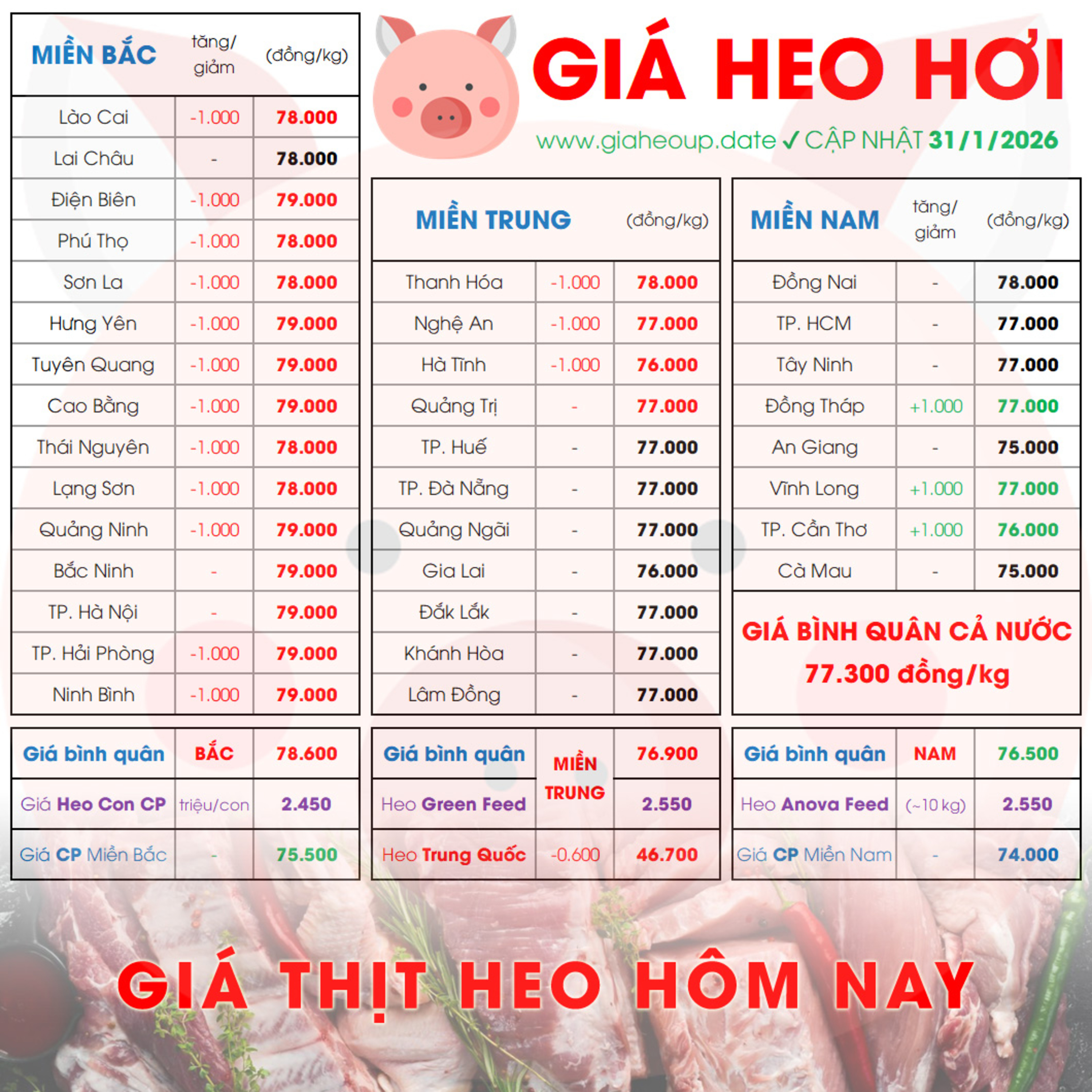 GIÁ HEO HƠI 31/1/2026 ✅ GIÁ THỊT LỢN & TIN TỨC CHĂN NUÔI #GIAHEOHOI #GIATHITHEO #GIAHEOUPDATE episode artwork