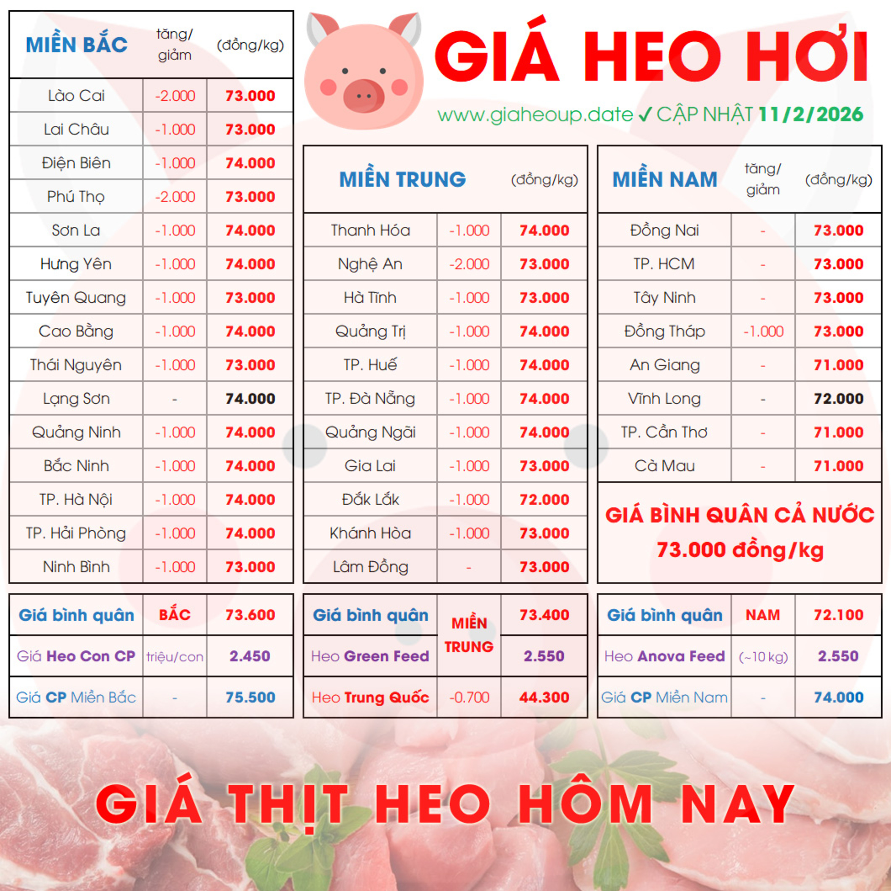 GIÁ LỢN HƠI 11/2/2026 ✅ GIÁ THỊT HEO HÔM NAY & TIN TỨC CHĂN NUÔI #GIAHEOHOI #GIATHITHEO #TET2026 episode artwork