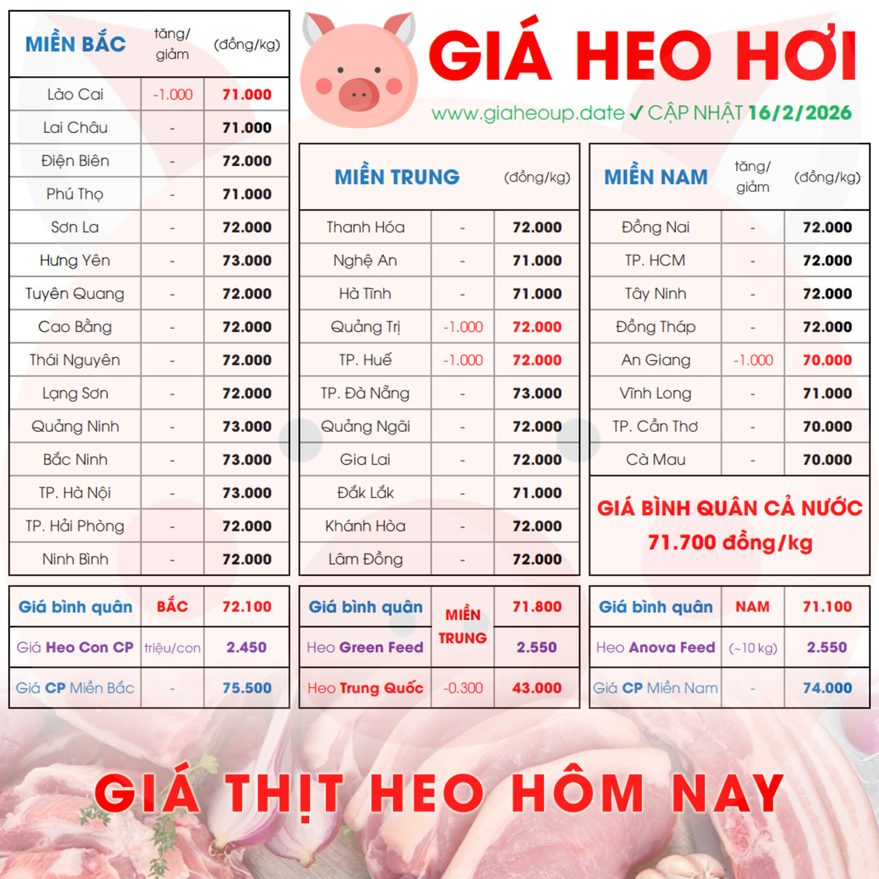 GIÁ HEO HƠI 16/2/2026 ✅ GIÁ THỊT LỢN & TIN TỨC CHĂN NUÔI #GIAHEOHOI #GIATHITHEO #GIAHEOUPDATE episode artwork
