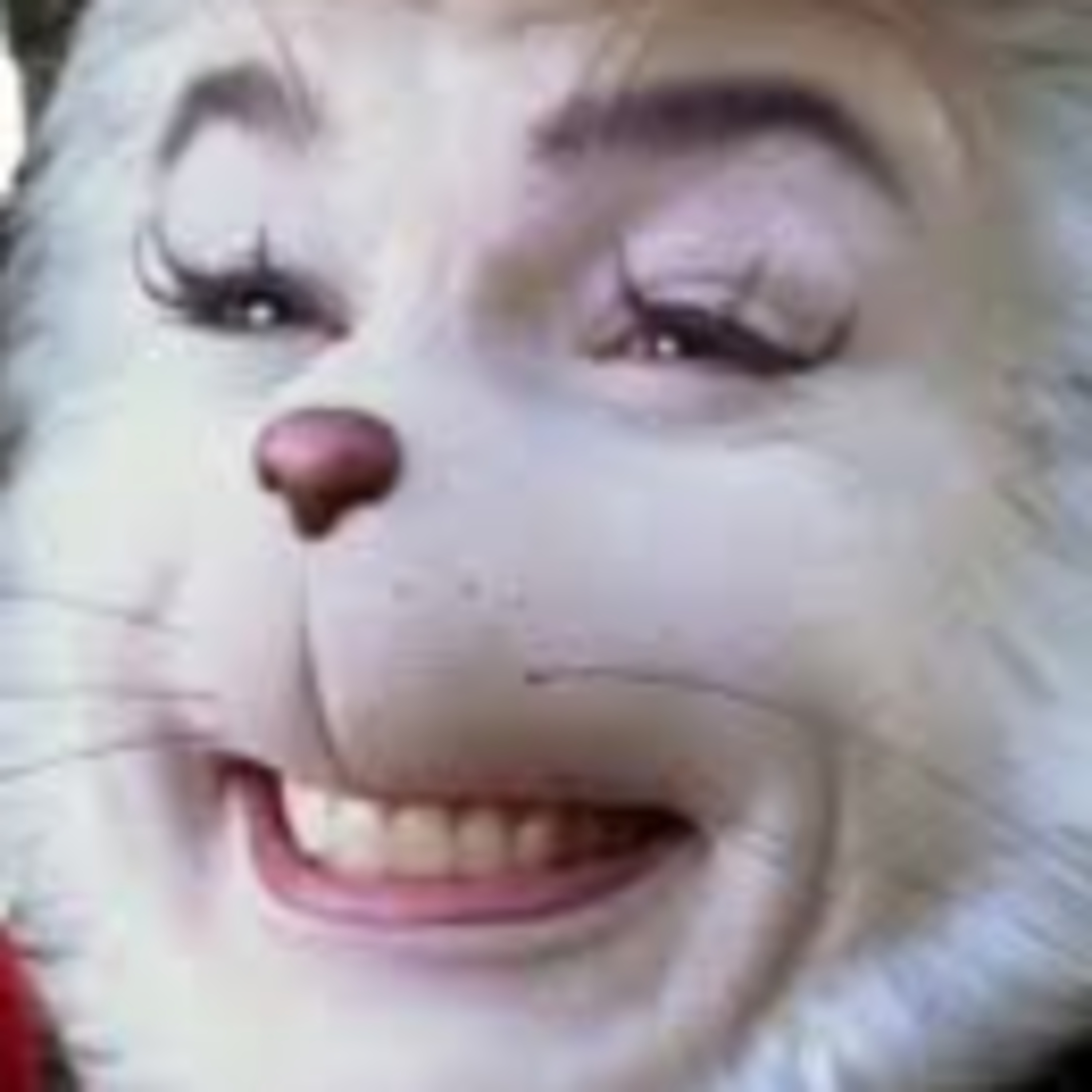 172 - The Cat in the Hat